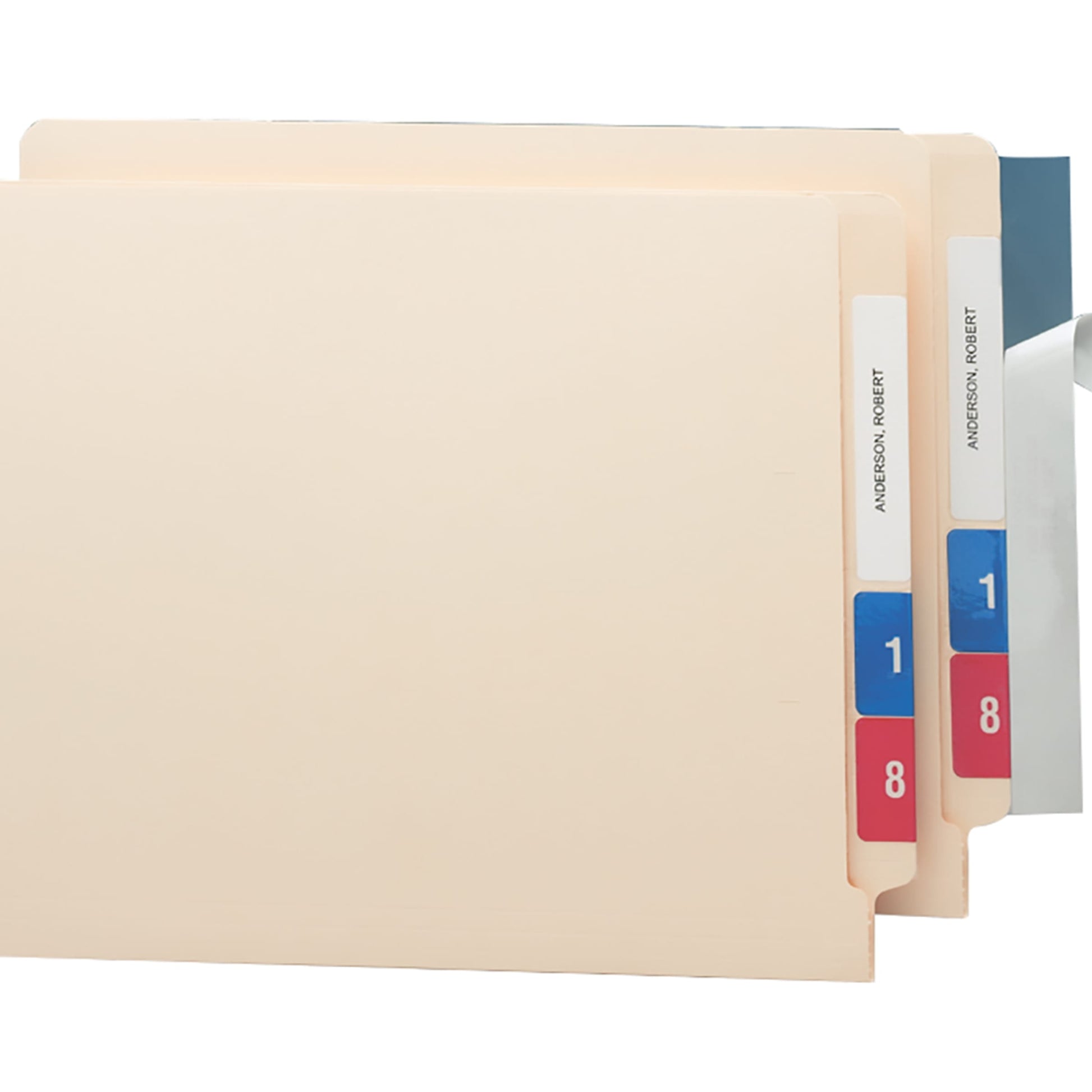 Seal and View® Clear Label Protectors, Clear Color, 8" X 1-11/16" Size, Set of 100, 086486676083