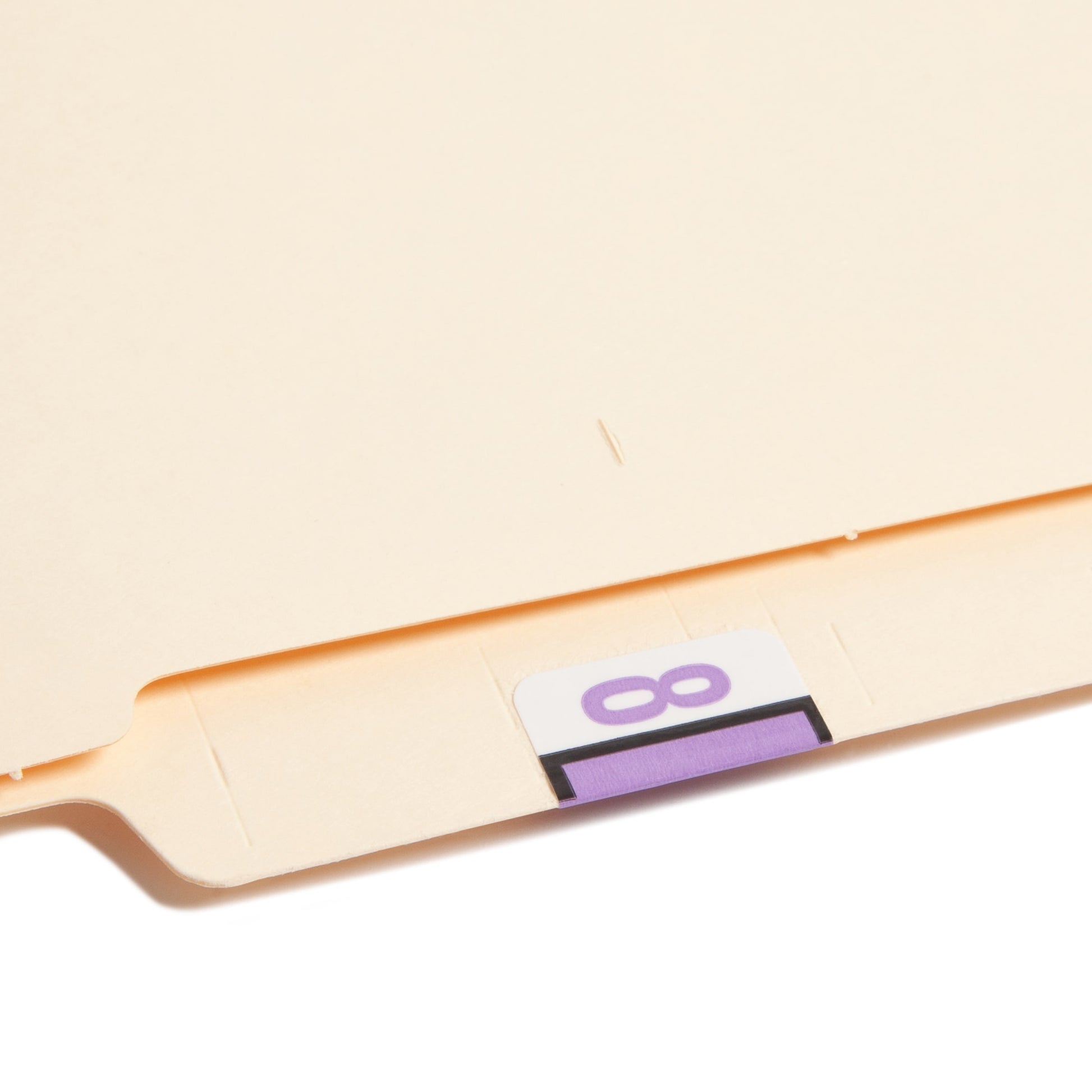 BCCRN Bar Style Color-Coded Numeric Labels, 0-9 Rolls, Lavender Color, 1-1/4" X 1" Size, Set of 50, 086486673785