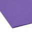 Standard File Folders, 1/3-Cut Tab, Purple Color, Letter Size, Set of 100, 086486130431