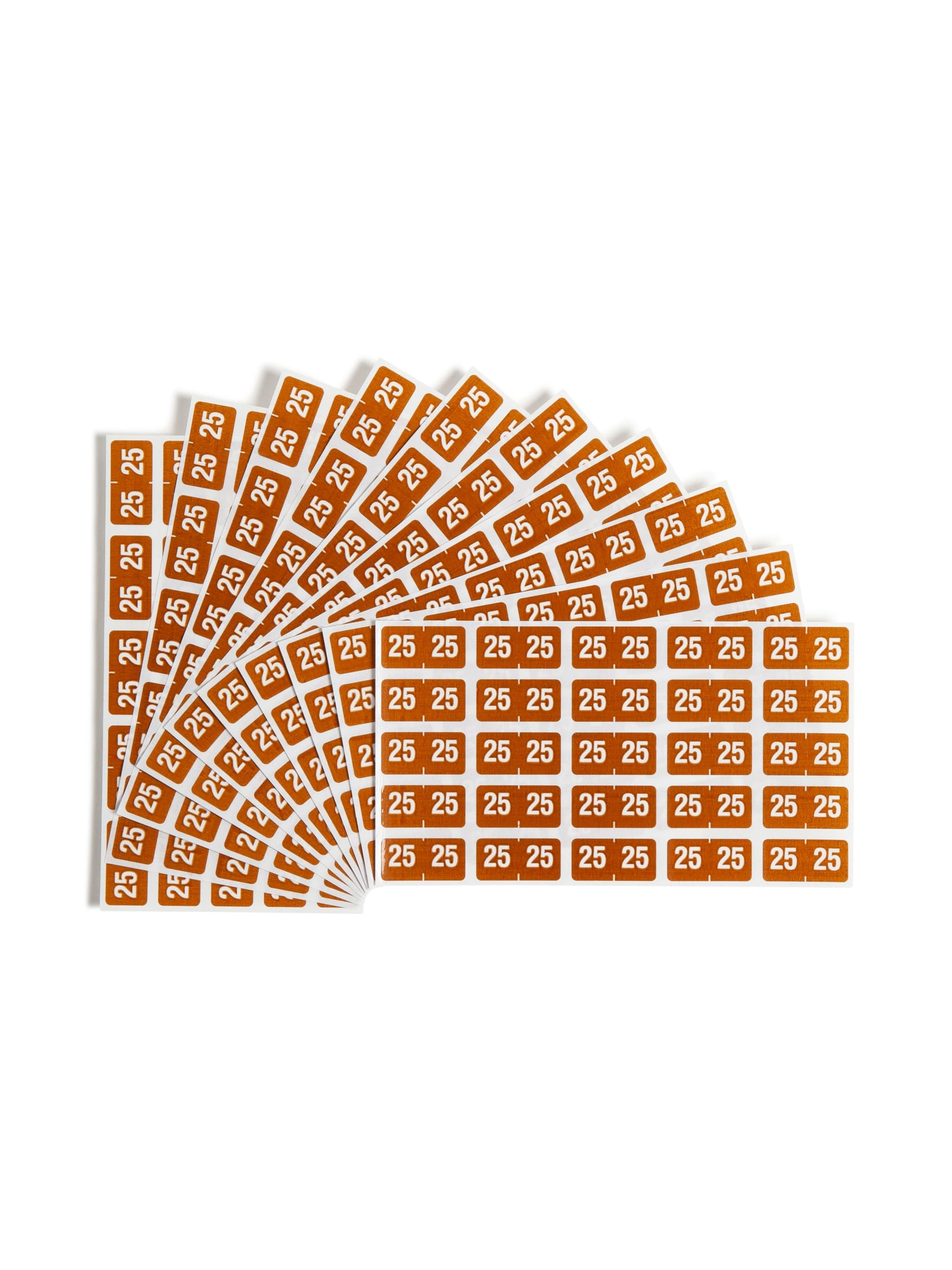 ETS Color-Coded Year Labels - Sheets, Brown Color, 1" X 1/2" Size, Set of 250, 086486679251