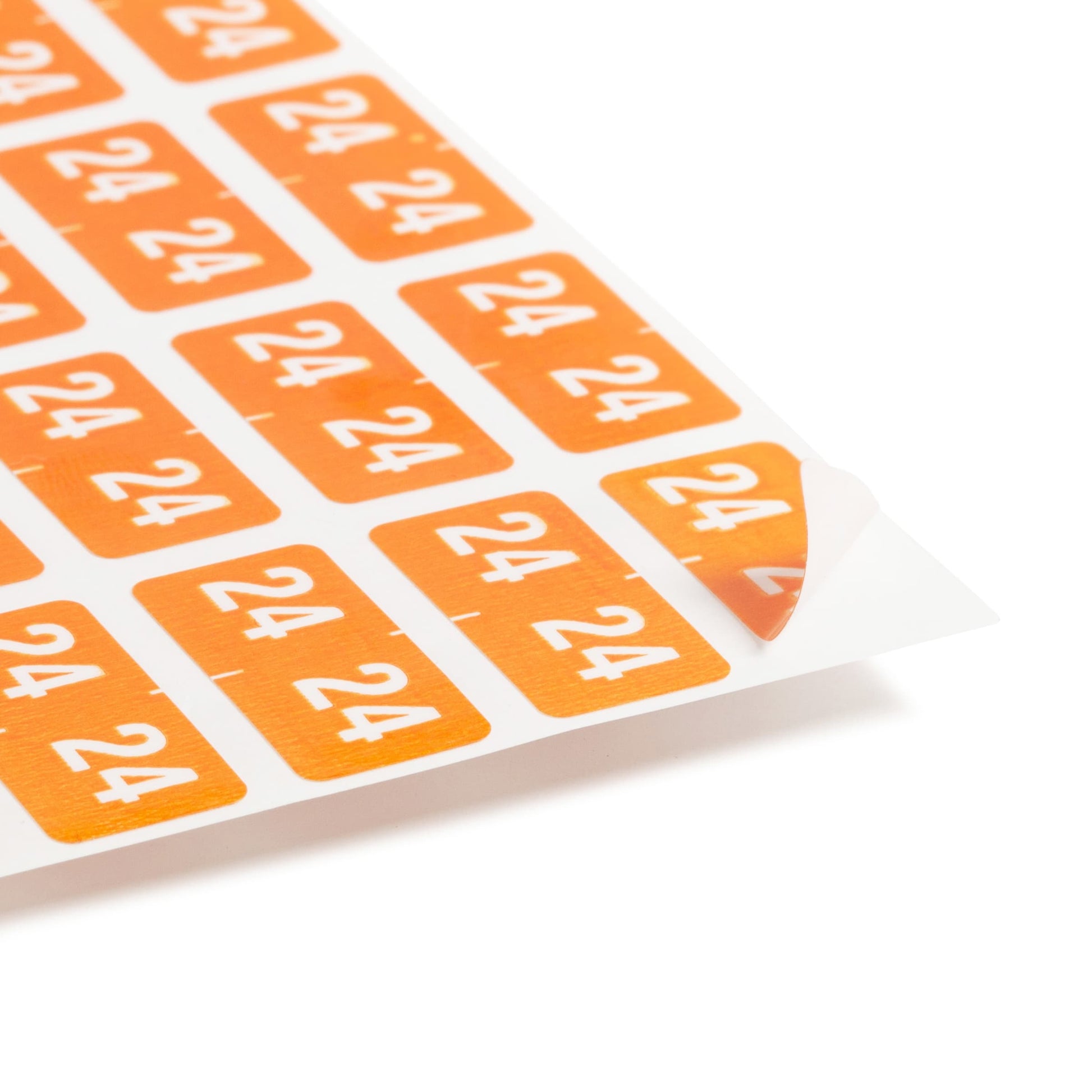 ETS Color-Coded Year Labels - Sheets, Orange Color, 1" X 1/2" Size, Set of 250, 086486679244