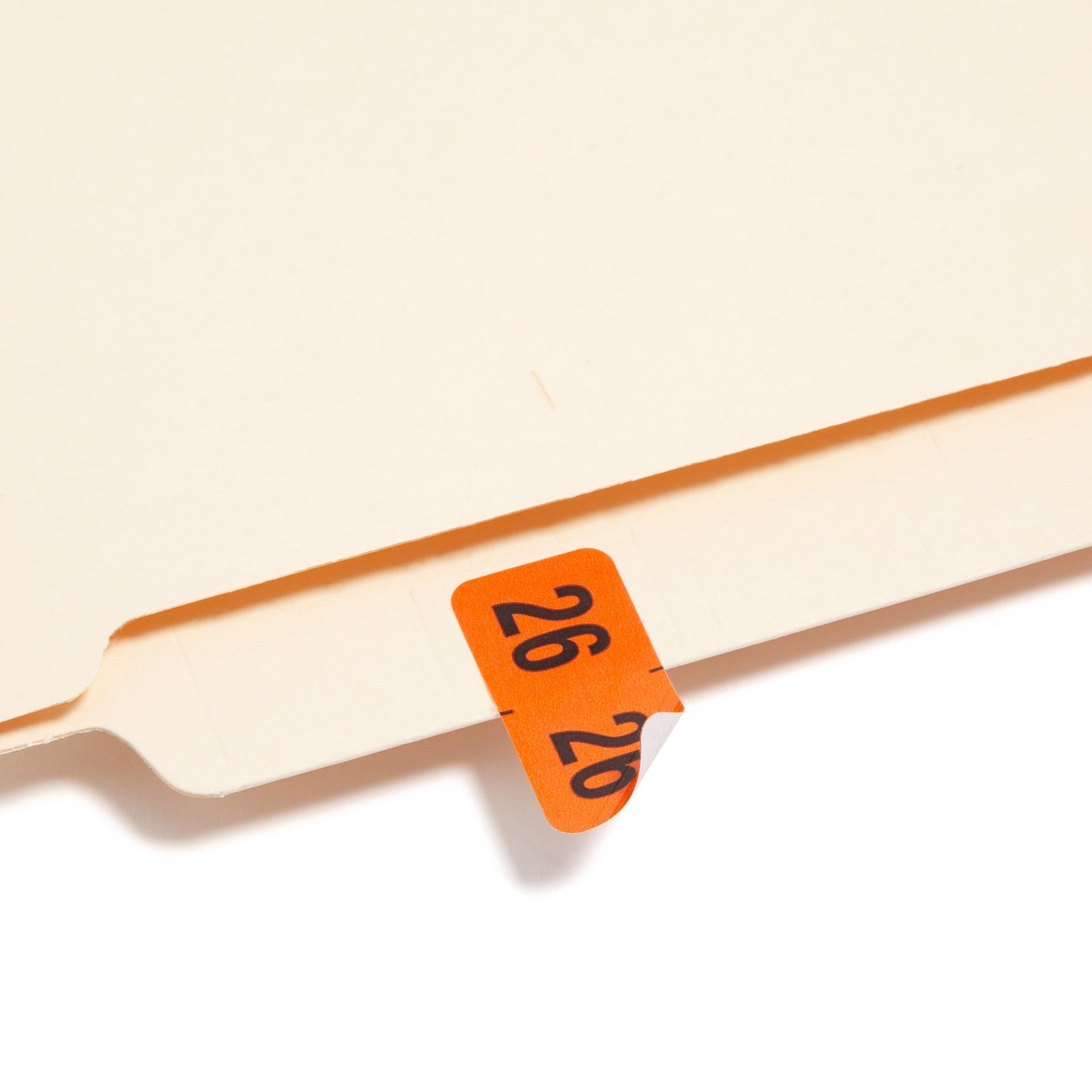 ETYJ Color-Coded Year Labels, Orange Color, 1-1/2" X 3/4" Size, Set of 50, 086486683265