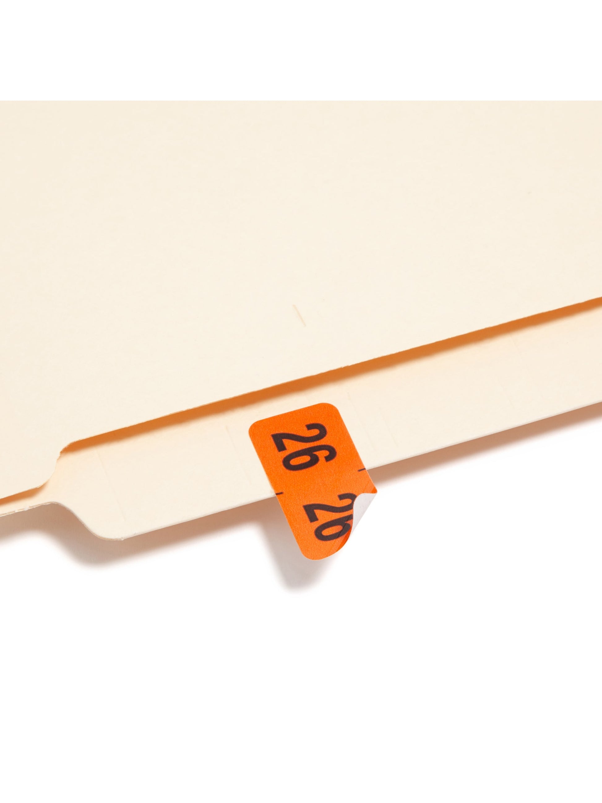 ETYJ Color-Coded Year Labels, Orange Color, 1-1/2" X 3/4" Size, Set of 50, 086486683265