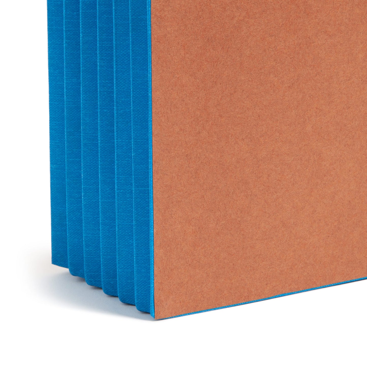 Reinforced End Tab File Pockets, Straight-Cut Tab, 5-1/4 inch Expansion, Blue Color, Extra Wide Letter Size, Set of 10, 30086486736894