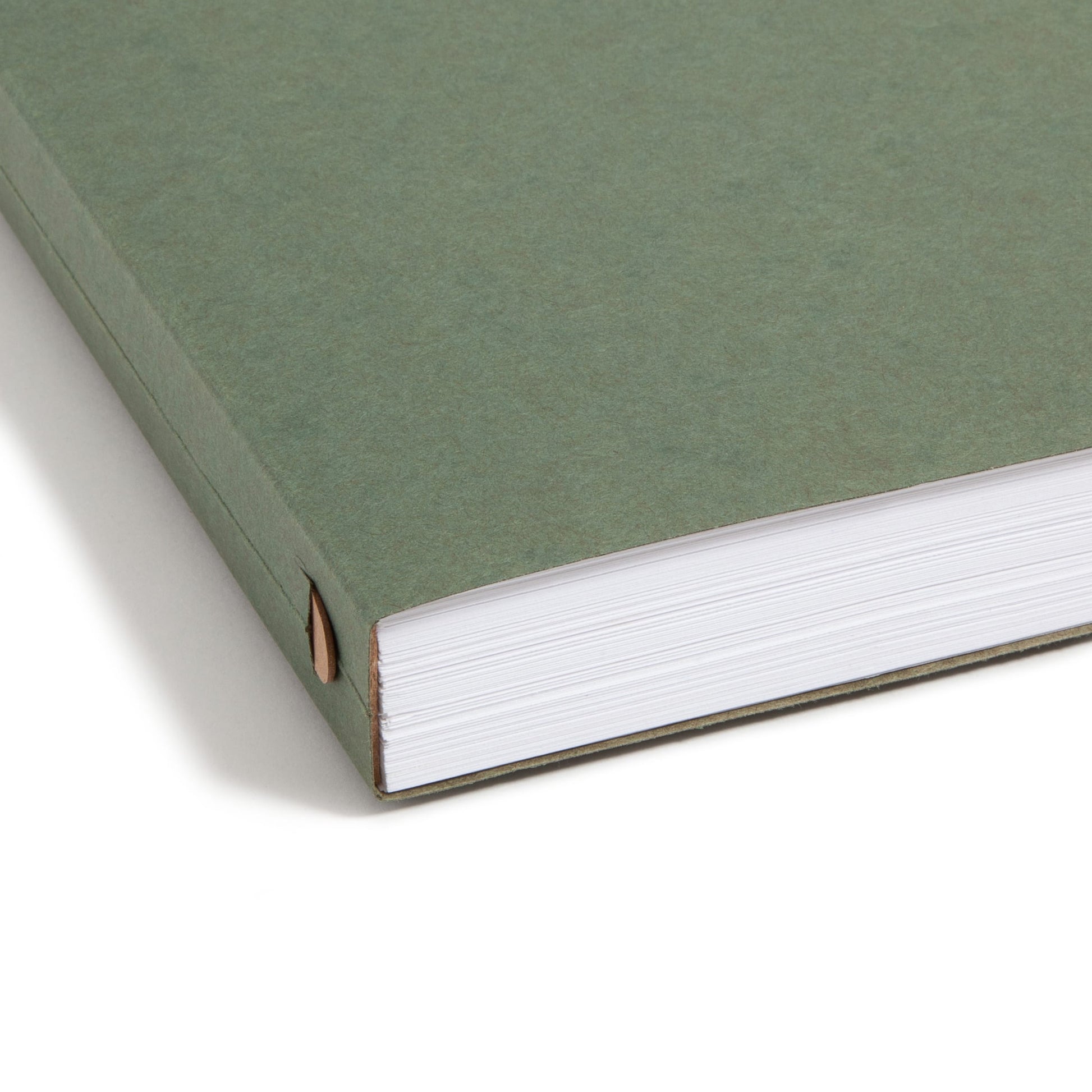 Hanging Box Bottom File Folders, 1 inch Expansion, Standard Green Color, Letter Size, Set of 25, 086486642392