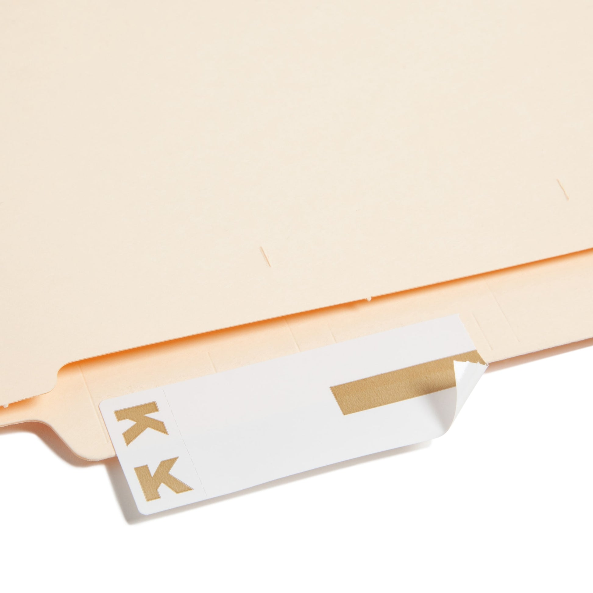 AlphaZ® NCC Color-Coded Name Labels - Sheets, Light Brown Color, 3-5/8" X 1-5/32" Size, Set of 100, 086486671620