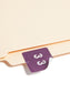 DCC Color-Coded Numeric Labels - Rolls, Purple Color, 1-1/2" X 1-1/2" Size, Set of 1, 086486674232