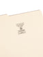 File Folders with Antimicrobial Product Protection, Manila Color, Letter Size, Set of 100, 086486103381