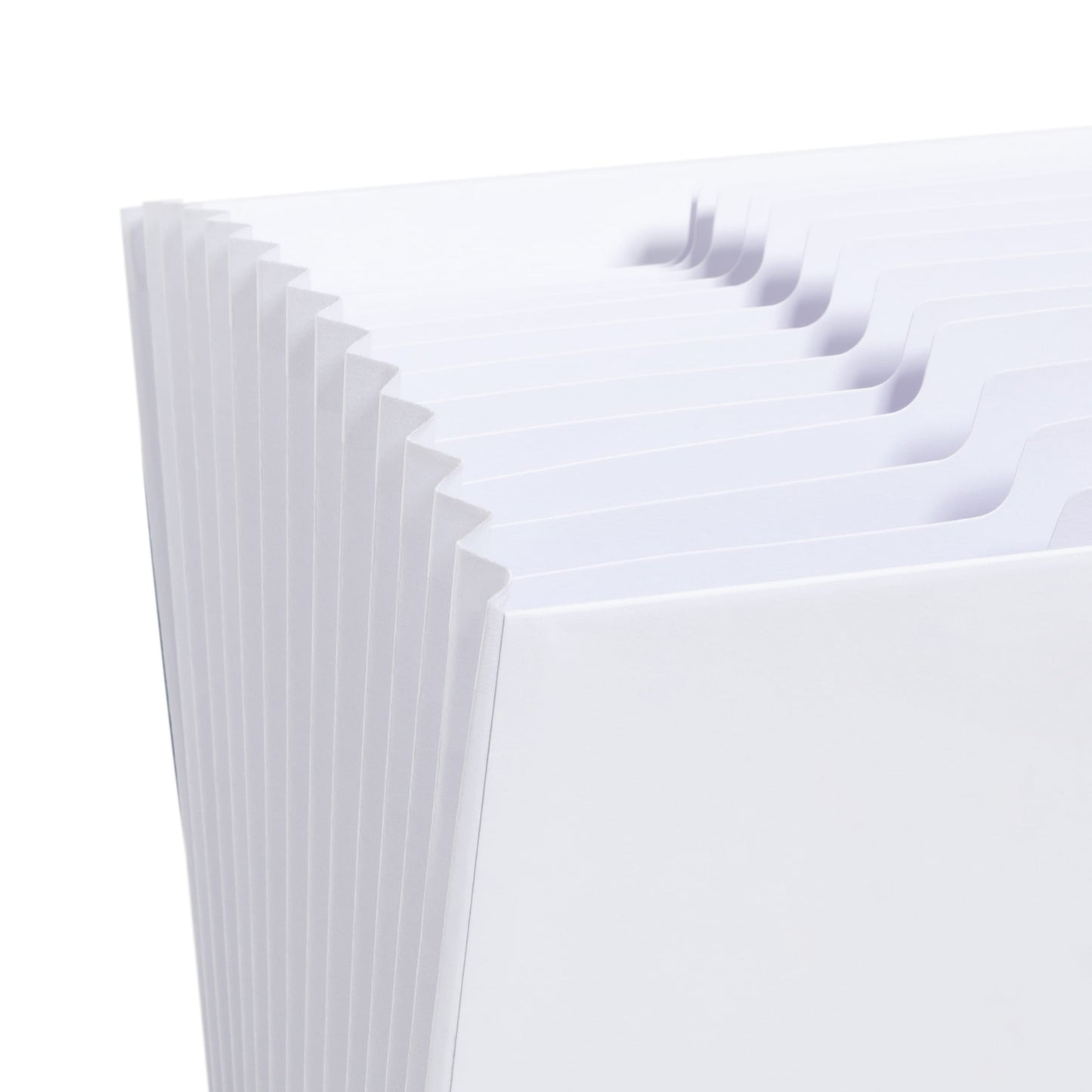 All-in-One Income Tax Organizer, 12 Pockets, White Color, Letter Size, Set of 1, 086486706605