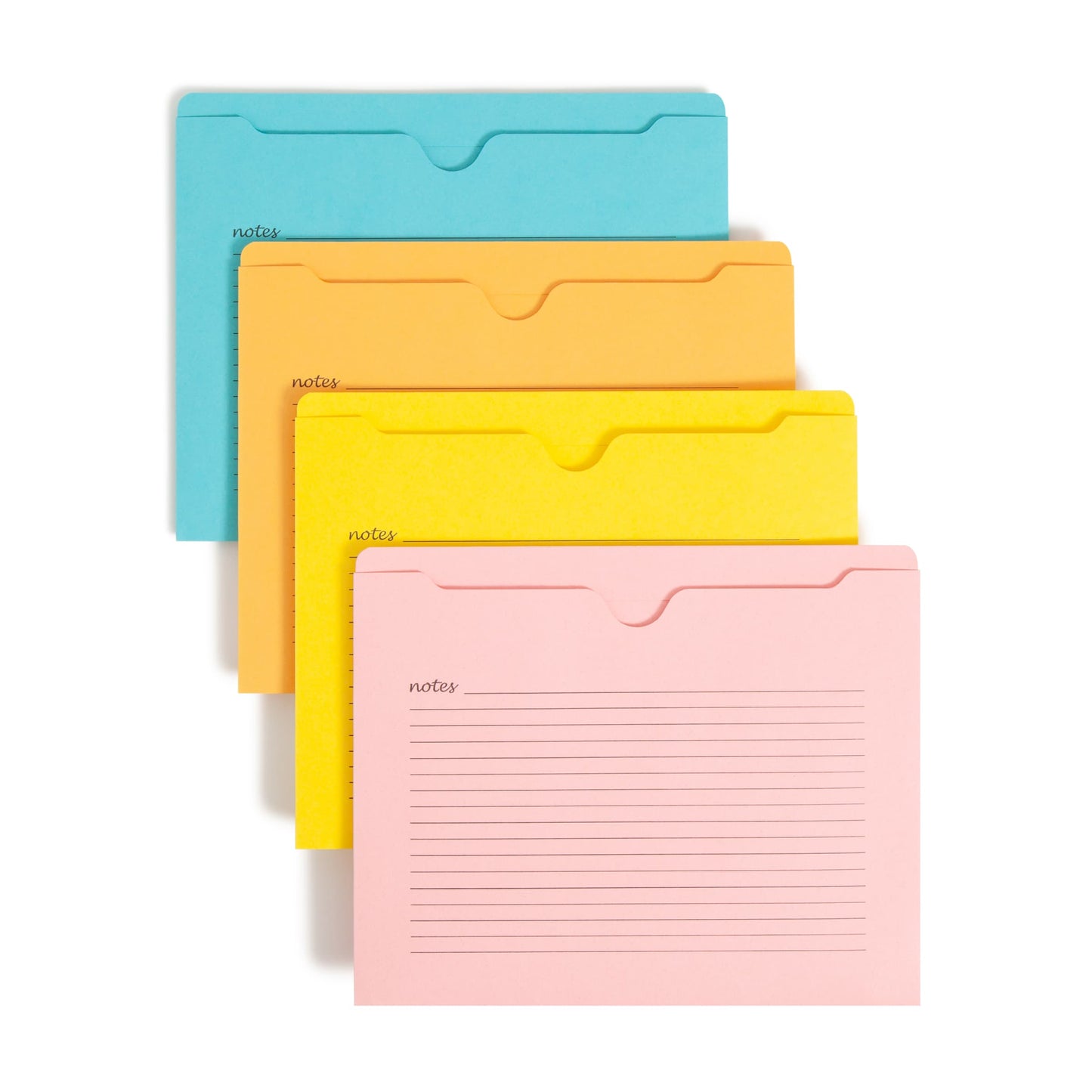 Notes File Jackets, Reinforced Straight-Cut Tab, Assorted Colors Color, Letter Size, Set of 12, 086486756167