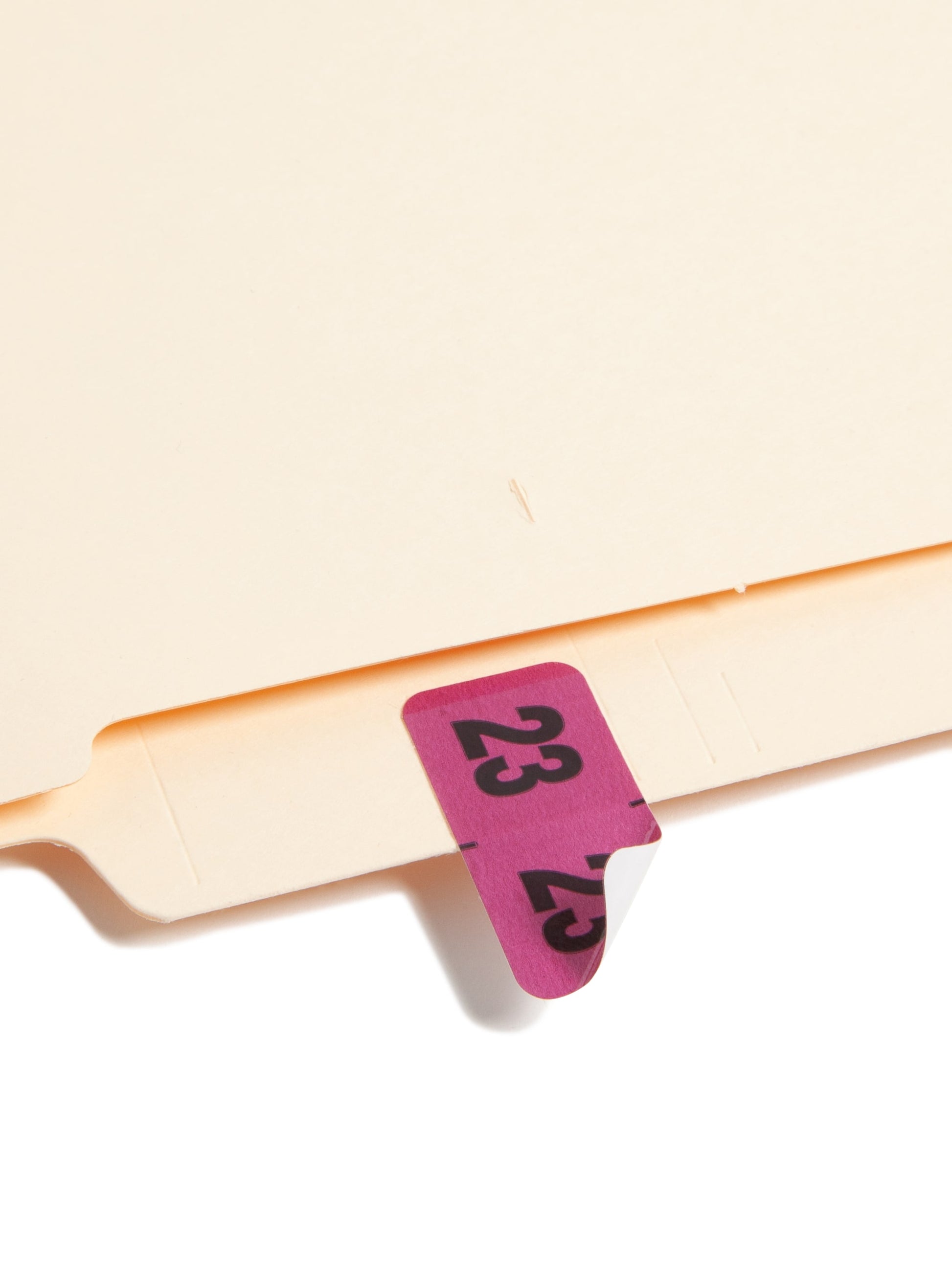 ETYJ Color-Coded Year Labels, Purple Color, 1-1/2" X 3/4" Size, Set of 50, 086486683234