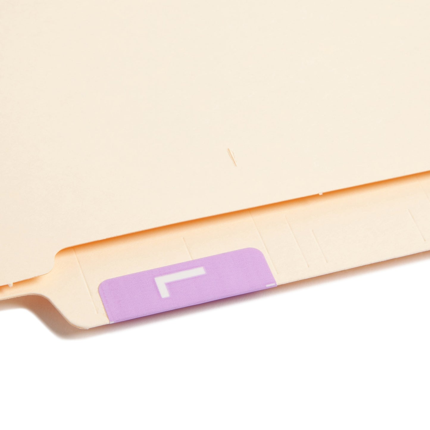 AlphaZ® ACCS Color Coded Alphabetic Labels - Sheets, Lavender Color, 1" X 1-5/8" Size, Set of 100, 086486671828