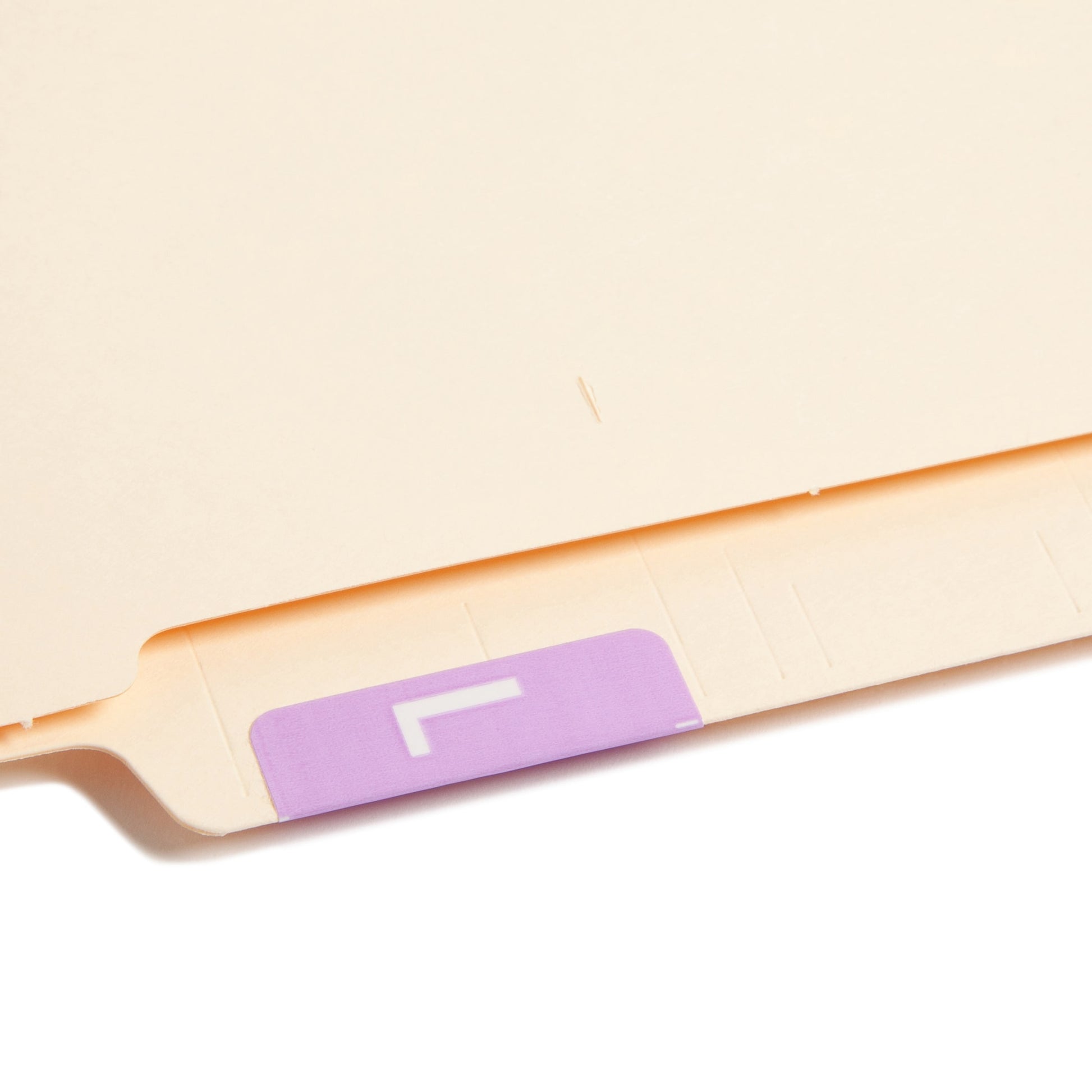 AlphaZ® ACCS Color Coded Alphabetic Labels - Sheets, Lavender Color, 1" X 1-5/8" Size, Set of 100, 086486671828