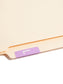 AlphaZ® ACCS Color Coded Alphabetic Labels - Sheets, Lavender Color, 1" X 1-5/8" Size, Set of 100, 086486671828