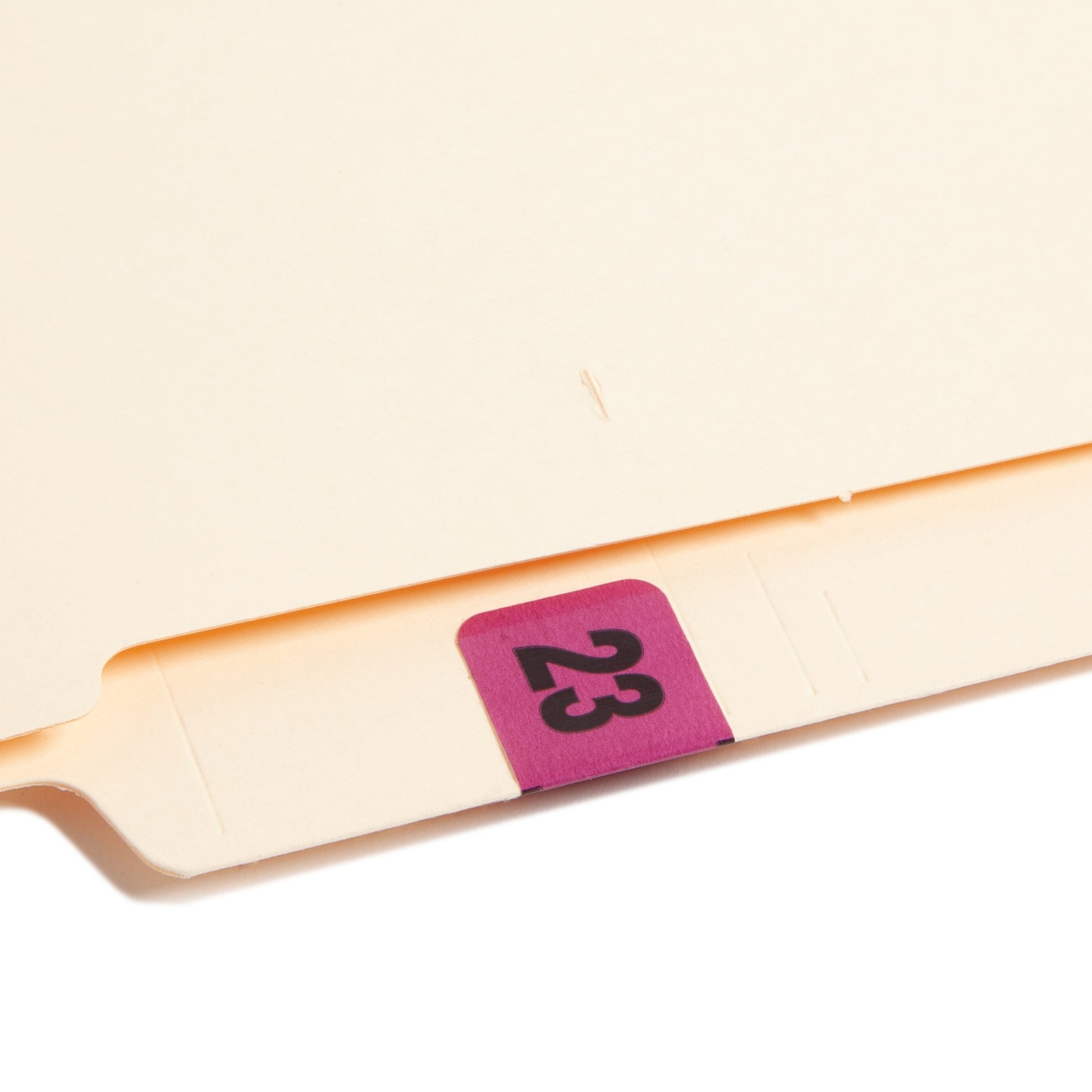 ETYJ Color-Coded Year Labels, Purple Color, 1-1/2" X 3/4" Size, Set of 50, 086486683234