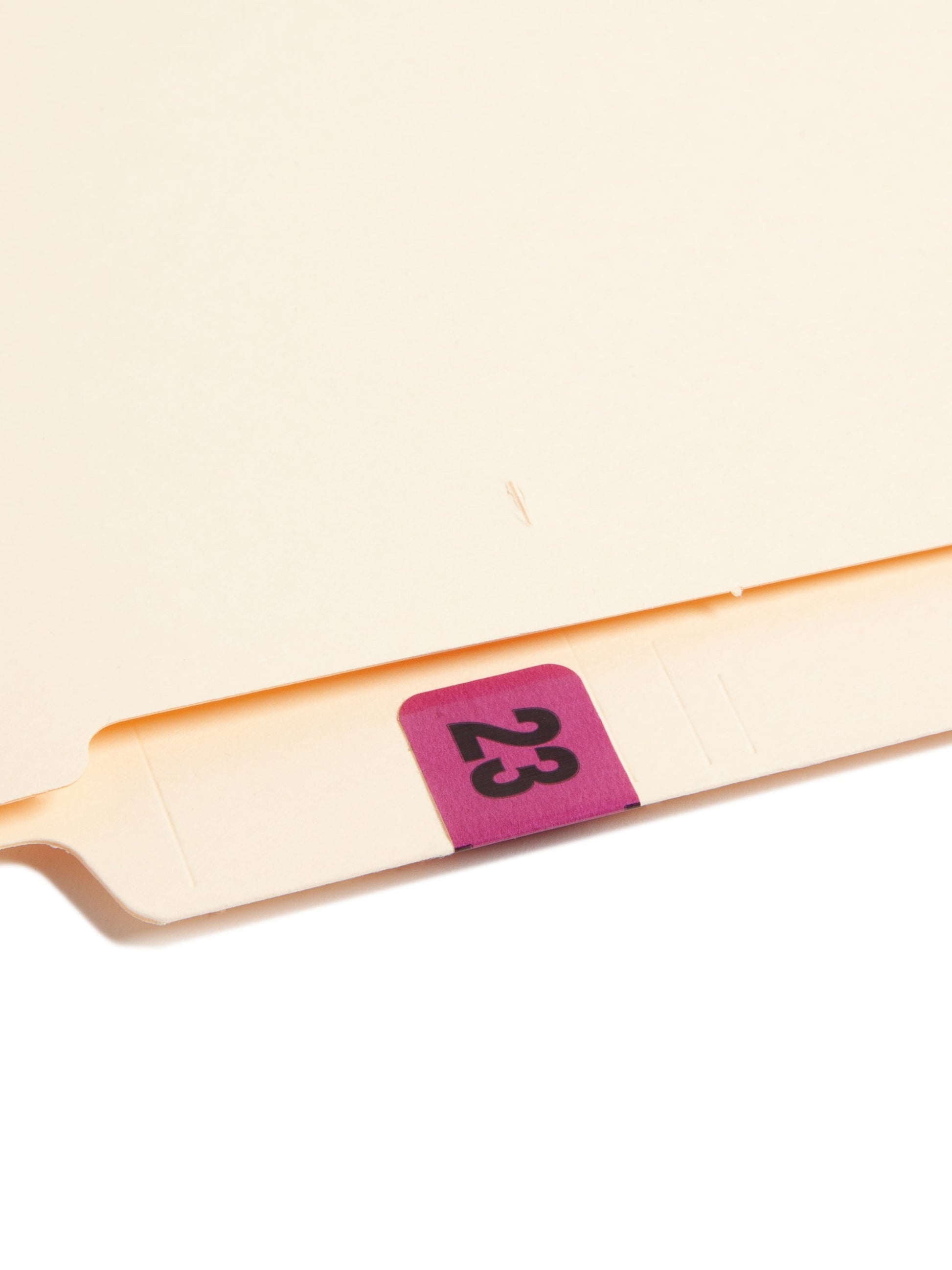 ETYJ Color-Coded Year Labels, Purple Color, 1-1/2" X 3/4" Size, Set of 50, 086486683234