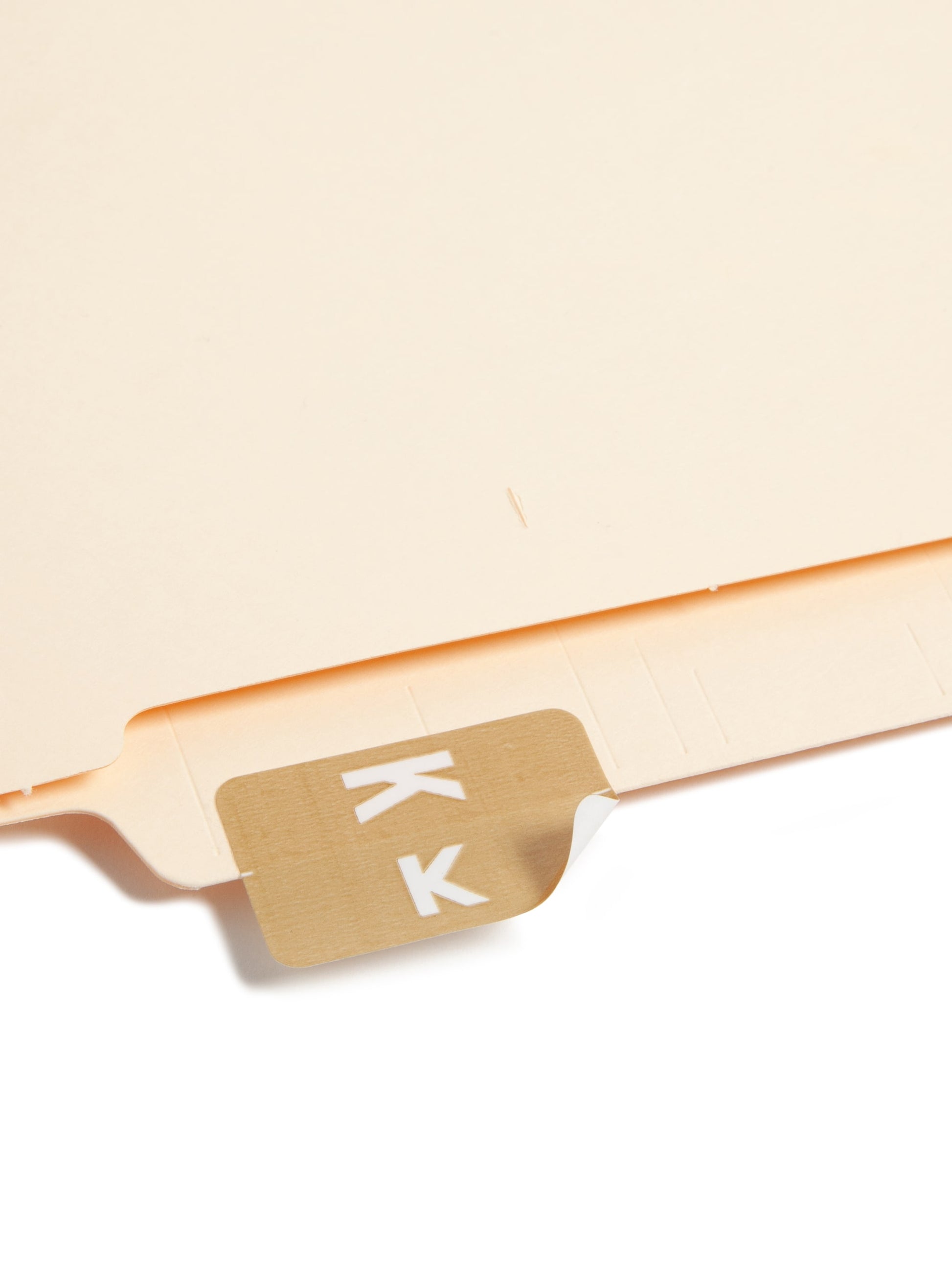 AlphaZ® ACCS Color Coded Alphabetic Labels - Sheets, Light Brown Color, 1" X 1-5/8" Size, Set of 100, 086486671811