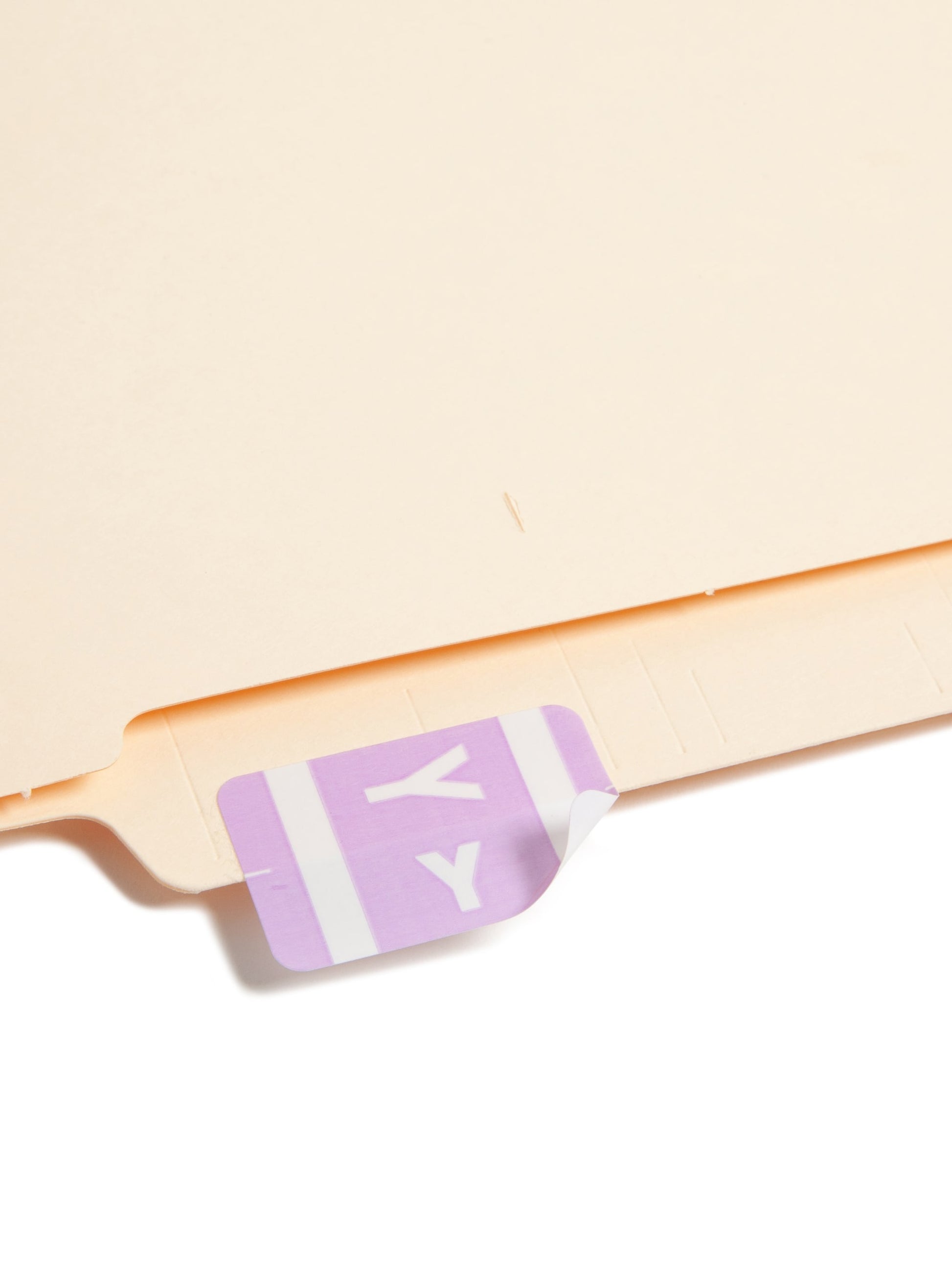 AlphaZ® ACCS Color Coded Alphabetic Labels - Sheets, Lavender Color, 1" X 1-5/8" Size, Set of 100, 086486671958