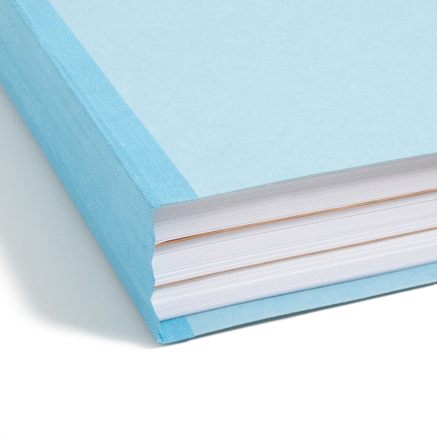 FasTab®/SafeSHIELD® Hanging Classification File Folders, 2 Dividers, Blue Color, Letter Size, Set of 10, 30086486651159