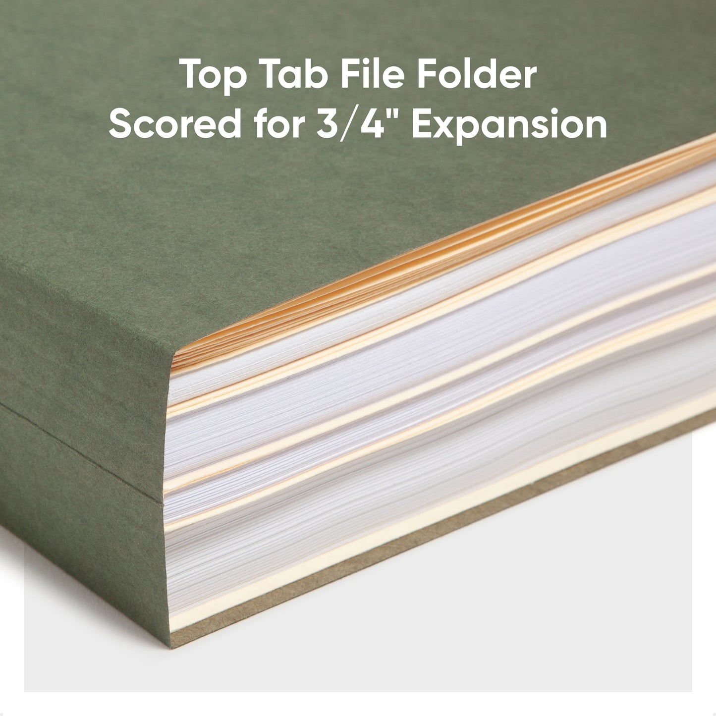 Hanging Filing Kit, 1/5-Cut Tab, Standard Green Color, Letter Size, Set of 1, 086486920070