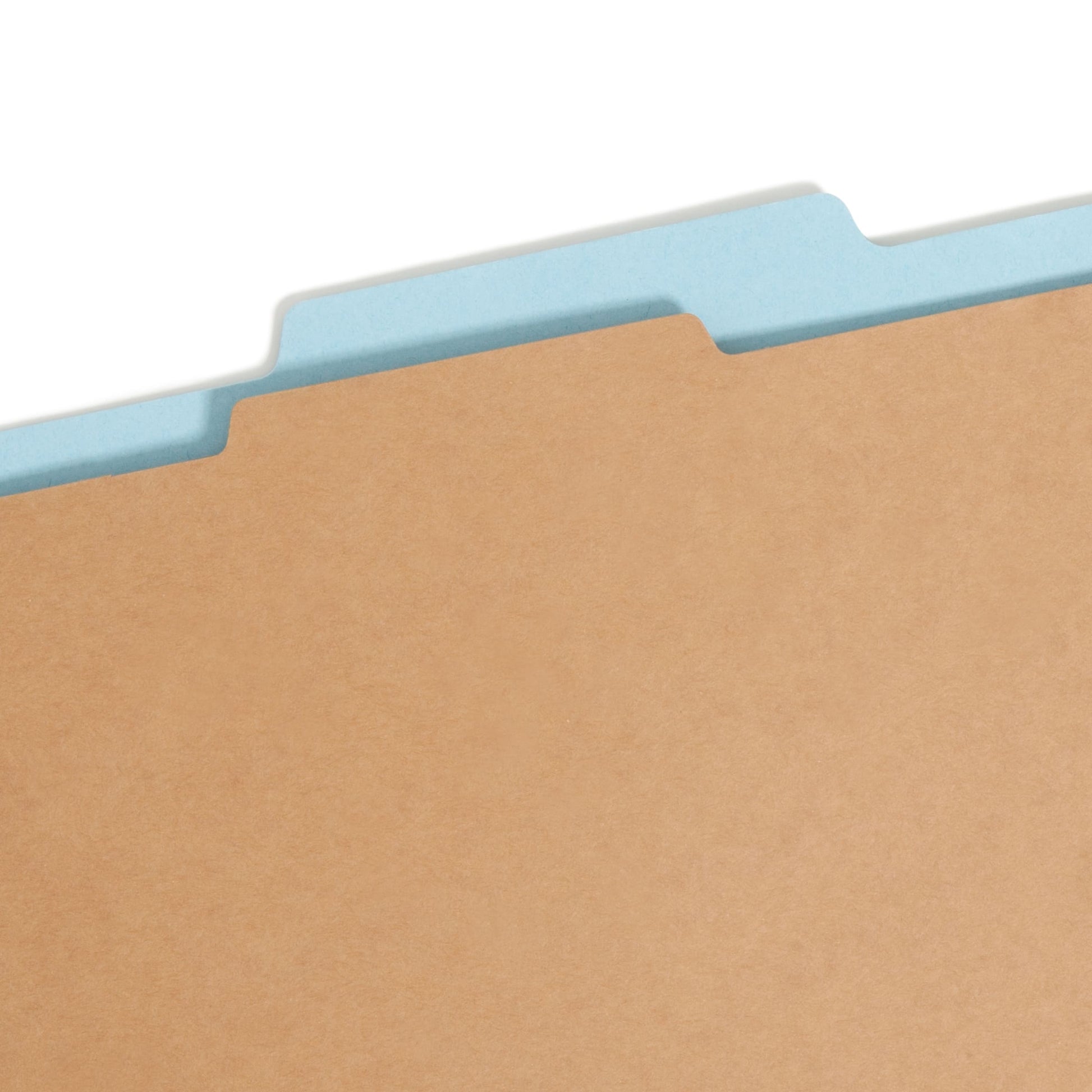 FasTab®/SafeSHIELD® Hanging Classification File Folders, Blue Color, Letter Size, Set of 10, 30086486651050