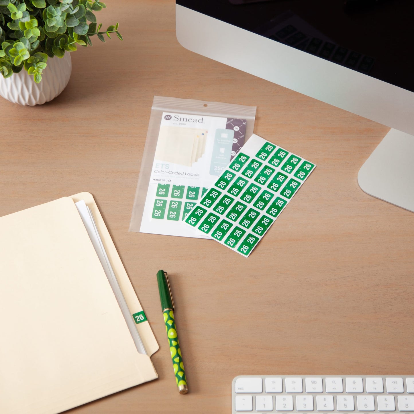 ETS Color-Coded Year Labels - Sheets, Green Color, 1" X 1/2" Size, Set of 250, 086486679268