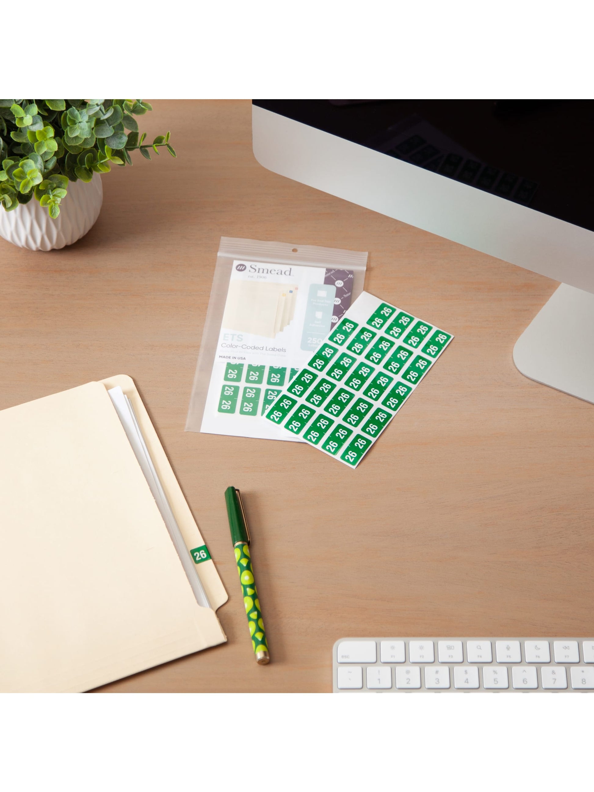 ETS Color-Coded Year Labels - Sheets, Green Color, 1" X 1/2" Size, Set of 250, 086486679268