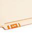 AlphaZ® ACCS Color Coded Alphabetic Labels - Sheets, Orange Color, 1" X 1-5/8" Size, Set of 100, 086486671897