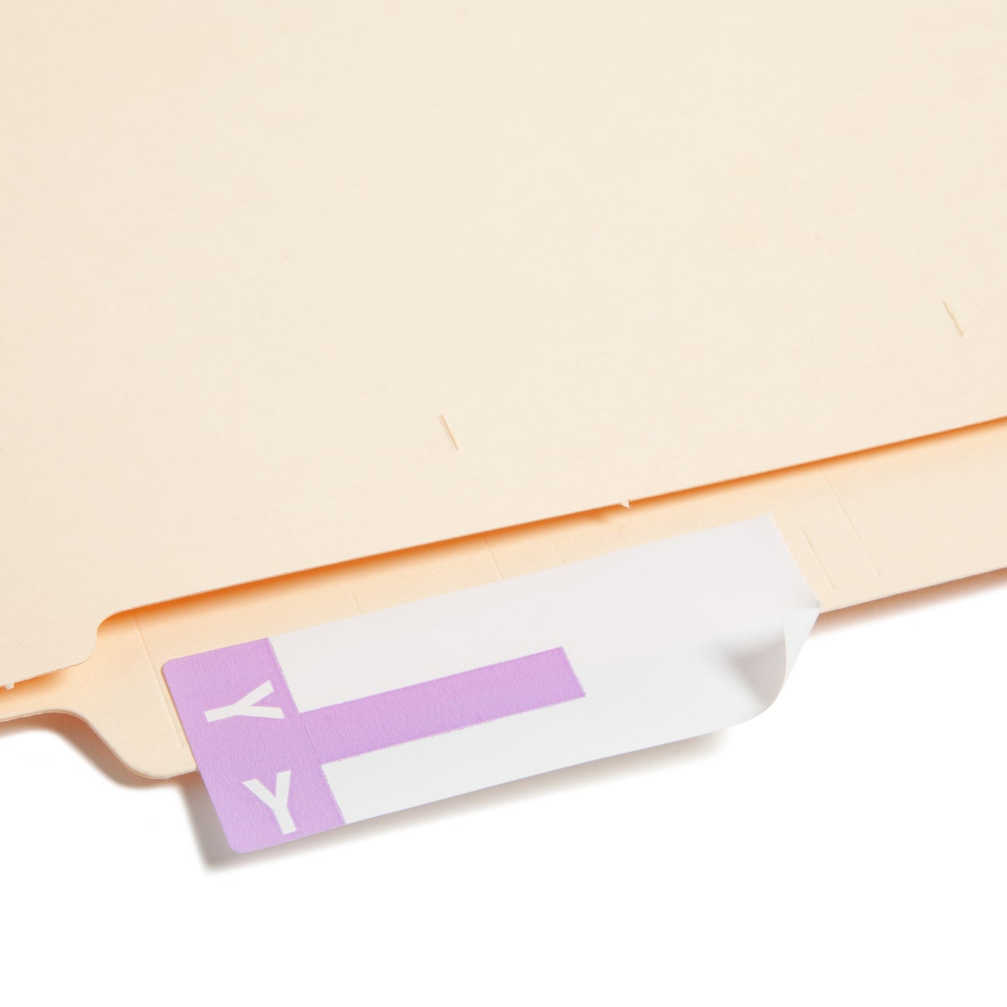 AlphaZ® NCC Color-Coded Name Labels - Sheets, Lavender Color, 3-5/8" X 1-5/32" Size, Set of 100, 086486671637