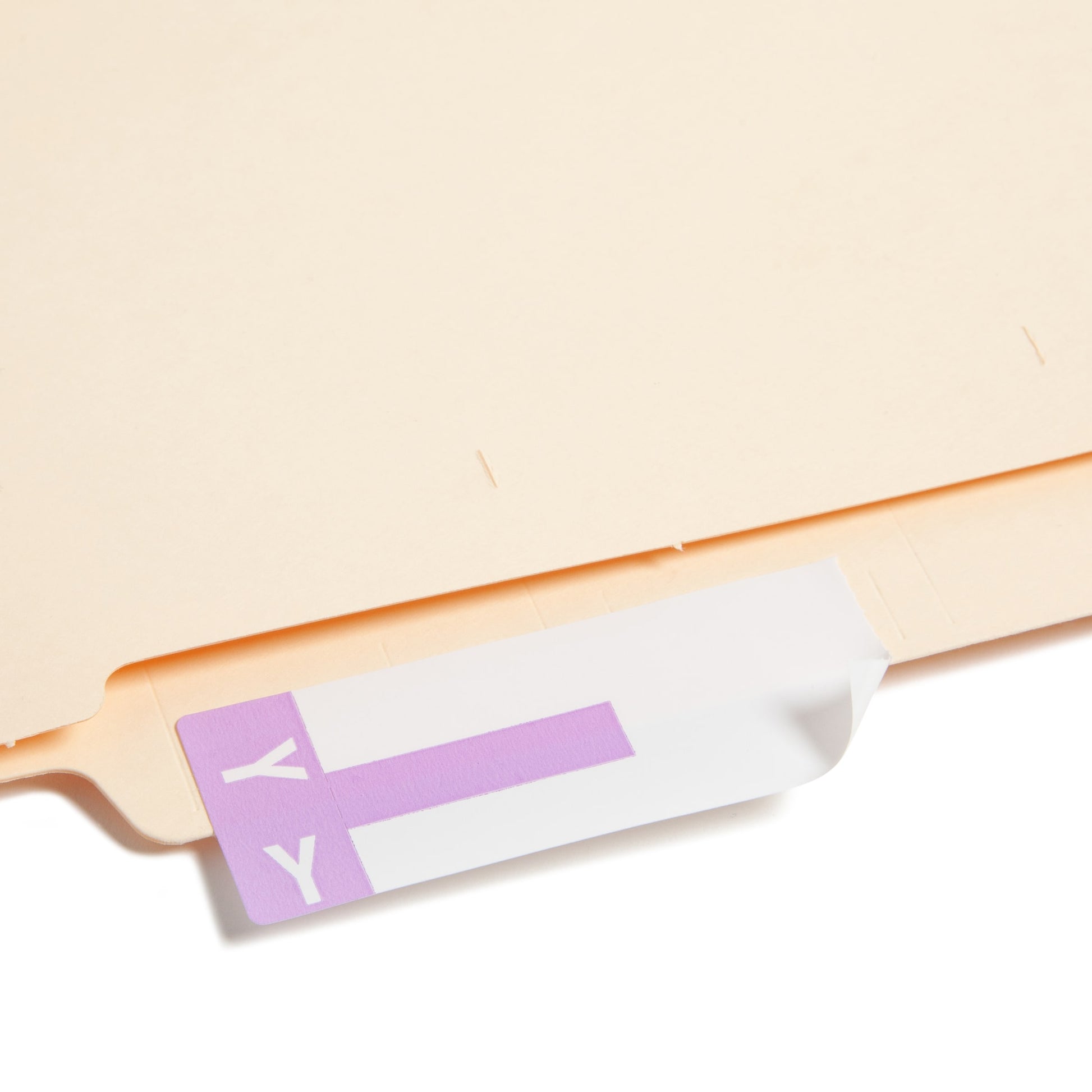 AlphaZ® NCC Color-Coded Name Labels - Sheets, Lavender Color, 3-5/8" X 1-5/32" Size, Set of 100, 086486671637