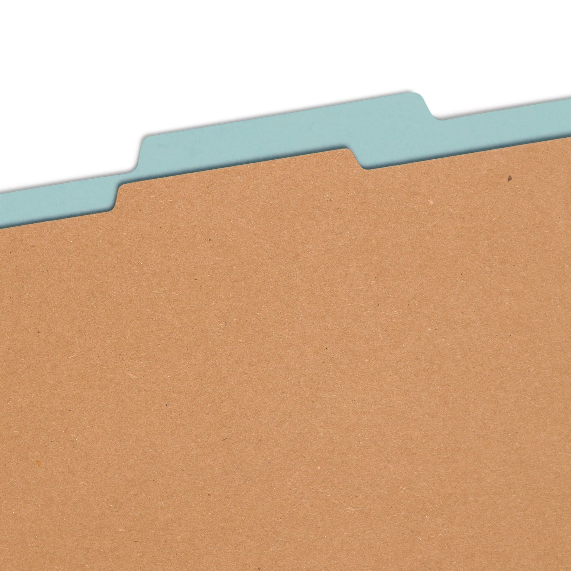 Pressboard Classification File Folders, 1 Divider, 2 inch Expansion, Blue Color, Letter Size, Set of 10, 30086486137219