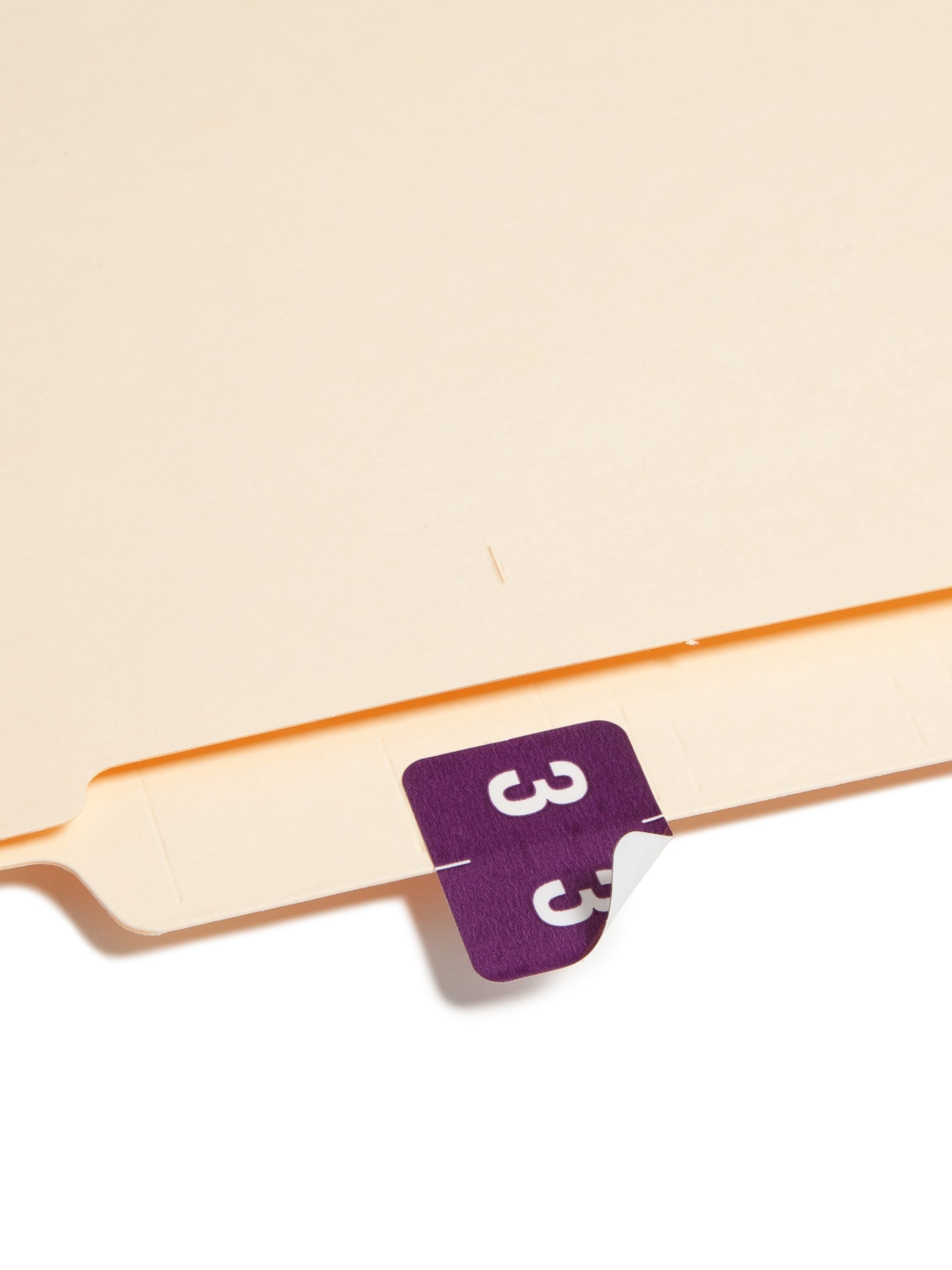 DCCRN Color-Coded Numeric Labels - Rolls, Purple Color, 1-1/4" X 1" Size, Set of 50, 086486673433