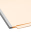 End Tab Classification File Folders, Straight-Cut Tab, 2 inch Expansion, 2 Dividers, Manila Color, Letter Size, Set of 10, 30086486268357