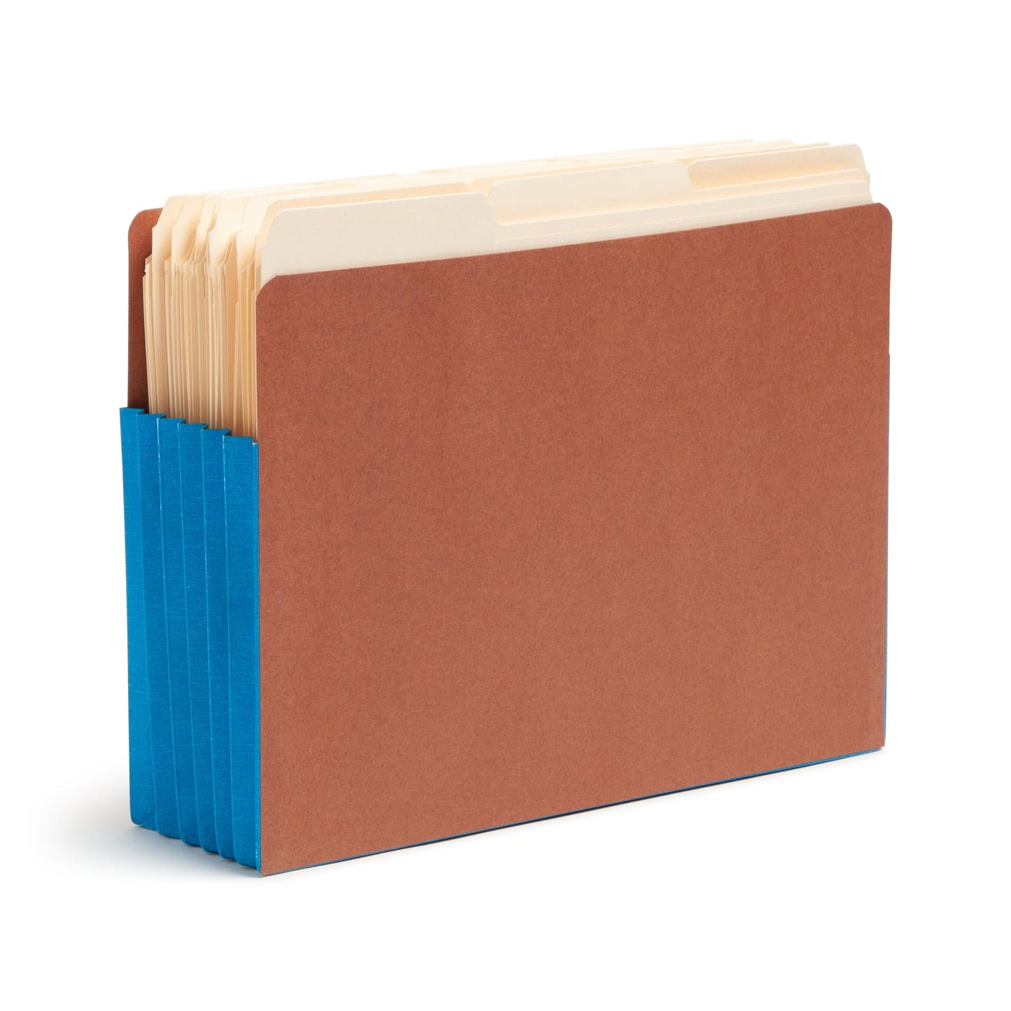 Reinforced End Tab File Pockets, Straight-Cut Tab, 5-1/4 inch Expansion, Blue Color, Extra Wide Letter Size, Set of 10, 30086486736894