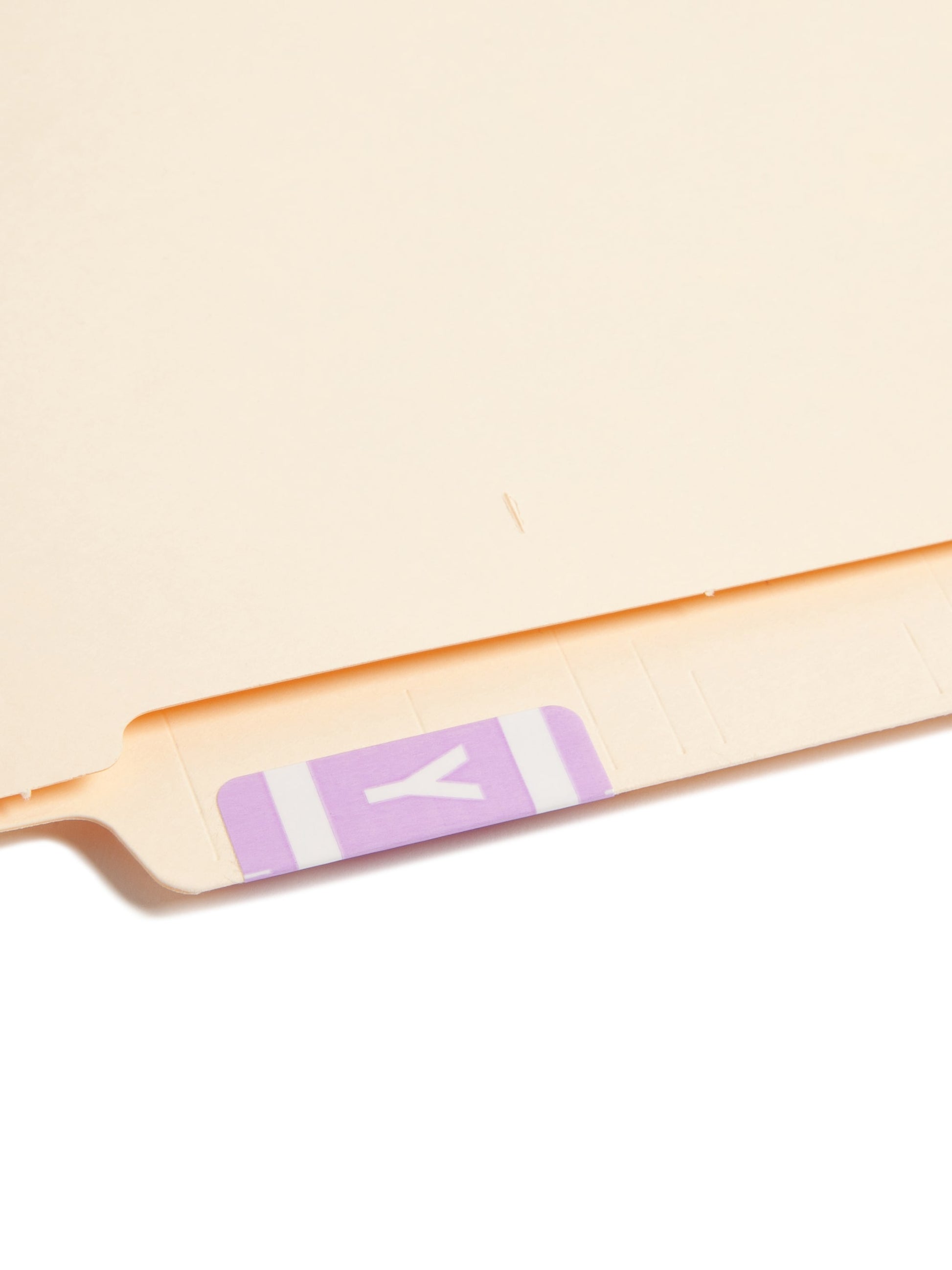 AlphaZ® ACCS Color Coded Alphabetic Labels - Sheets, Lavender Color, 1" X 1-5/8" Size, Set of 100, 086486671958