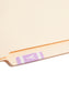 AlphaZ® ACCS Color Coded Alphabetic Labels - Sheets, Lavender Color, 1" X 1-5/8" Size, Set of 100, 086486671958
