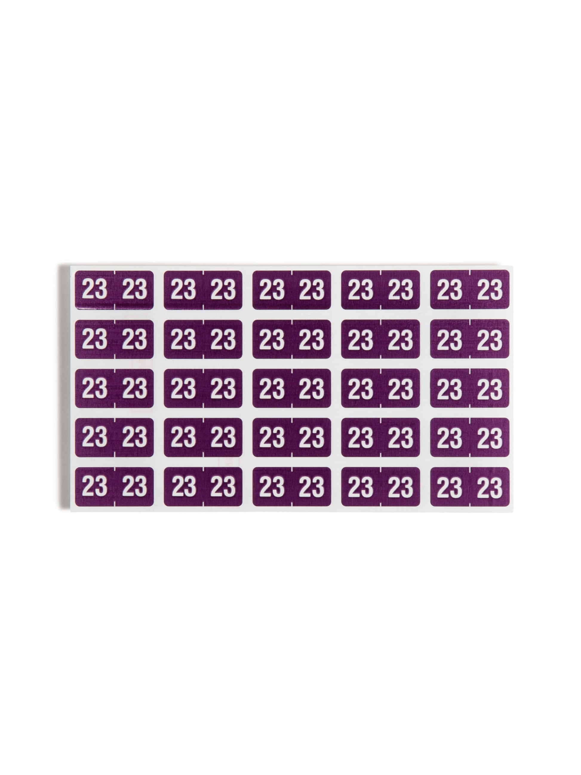 ETS Color-Coded Year Labels - Sheets, Purple Color, 1" X 1/2" Size, Set of 1, 086486679237