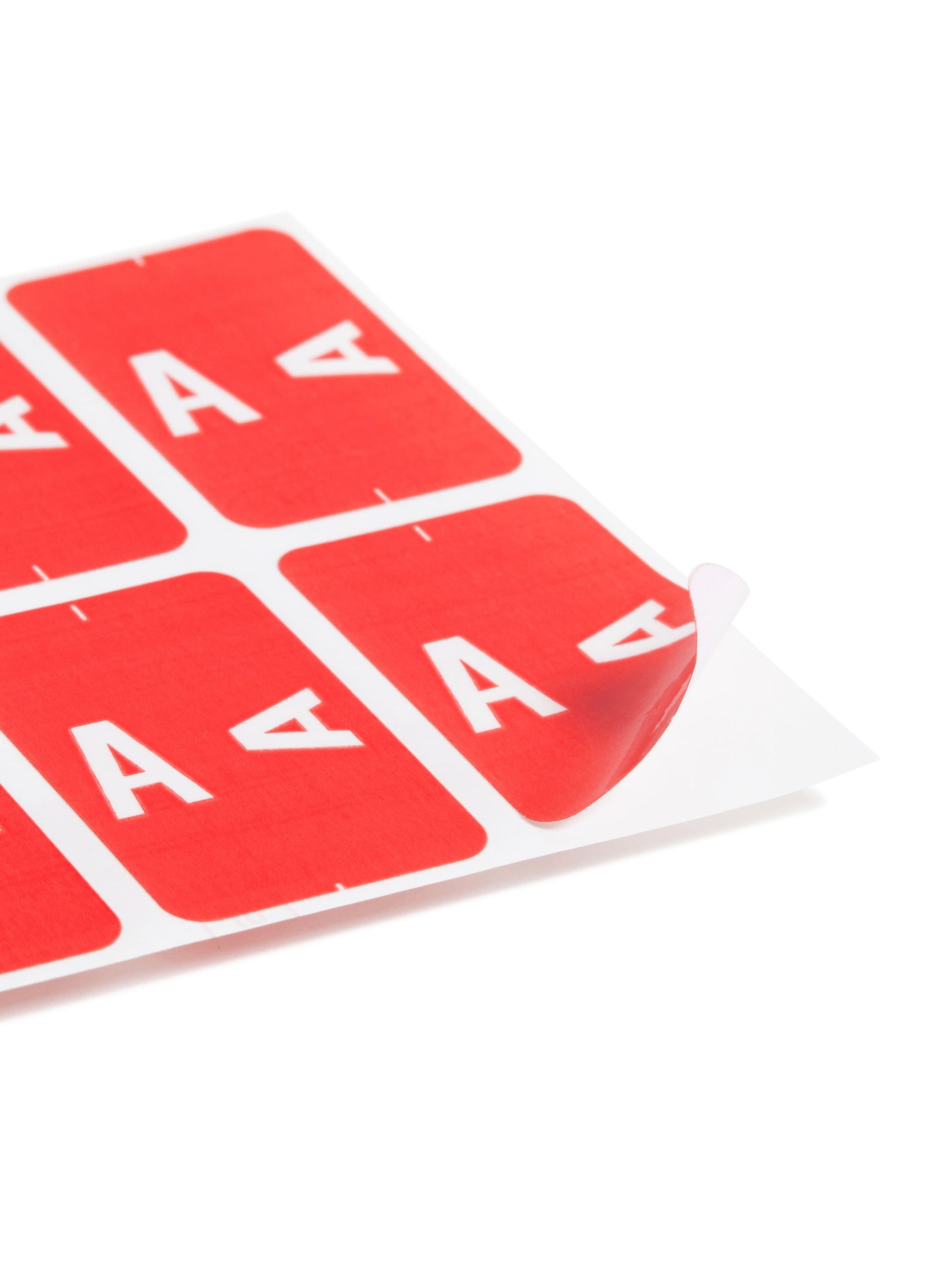 AlphaZ® NCC Color-Coded Name Labels - Sheets, Pink Color, 3-5/8" X 1-5/32" Size, Set of 100, 086486671606