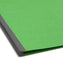 Classification File Folders, 2 Dividers, 2 inch Expansion, Green Color, Letter Size, Set of 10, 30086486140028