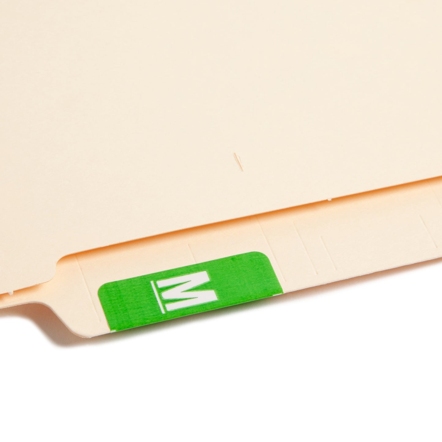 AlphaZ® ACCS Color Coded Alphabetic Labels - Sheets, Light Green Color, 1" X 1-5/8" Size, Set of 100, 086486671835