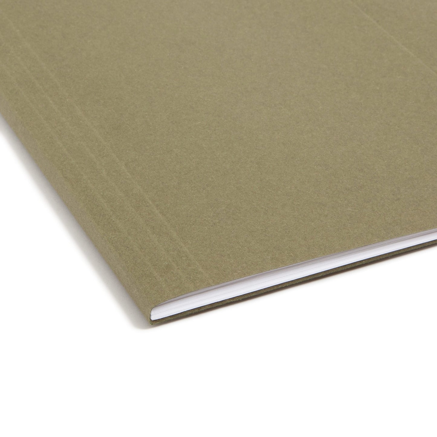 100% Recycled Hanging File Folders, Standard Green Color, Letter Size, Set of 25, 086486650014