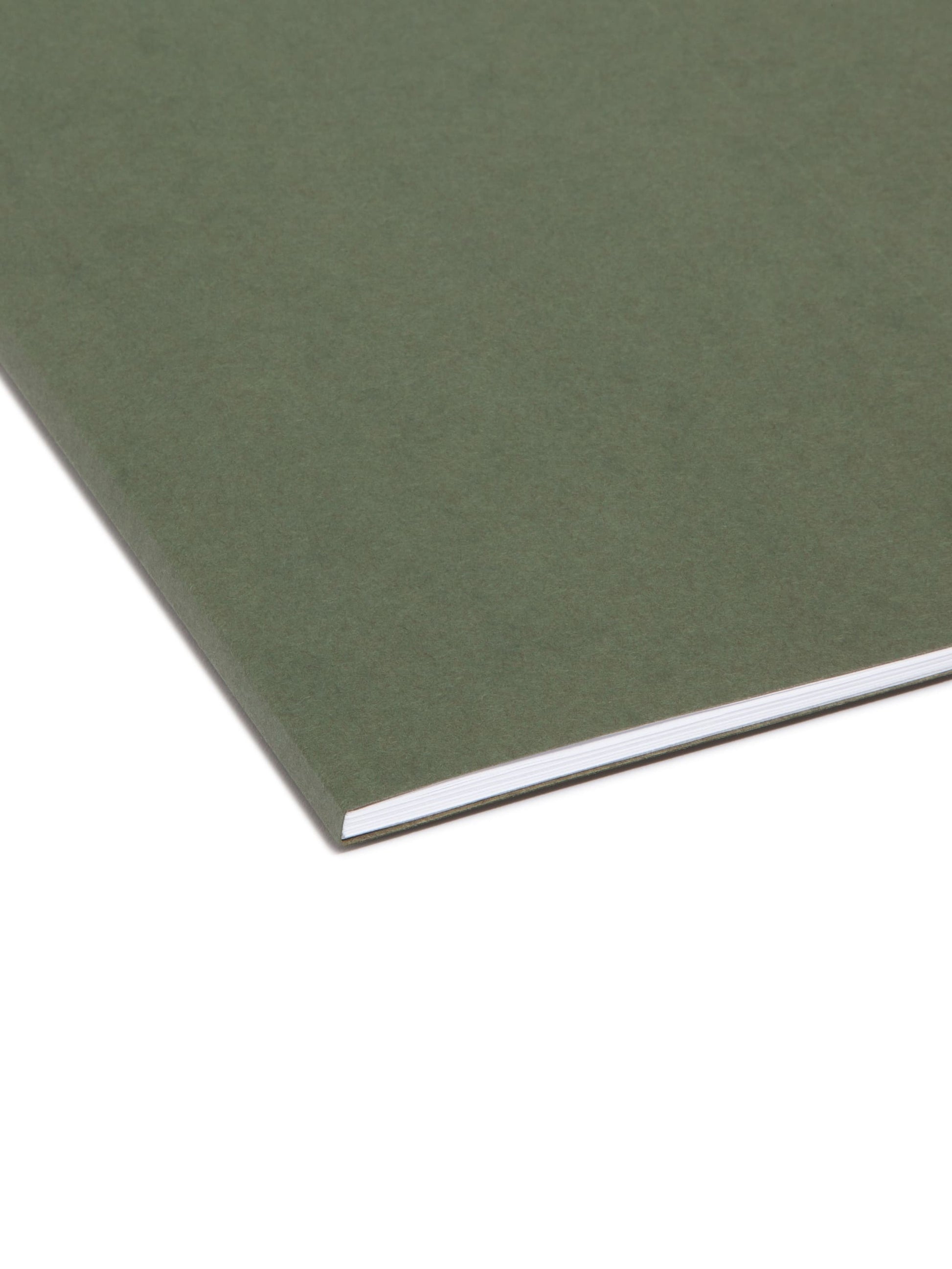 Standard Hanging File Folders, Without Tabs, Standard Green Color, Letter Size, Set of 25, 086486640107