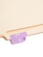 AlphaZ® ACCS Color Coded Alphabetic Labels - Sheets, Lavender Color, 1" X 1-5/8" Size, Set of 100, 086486671828