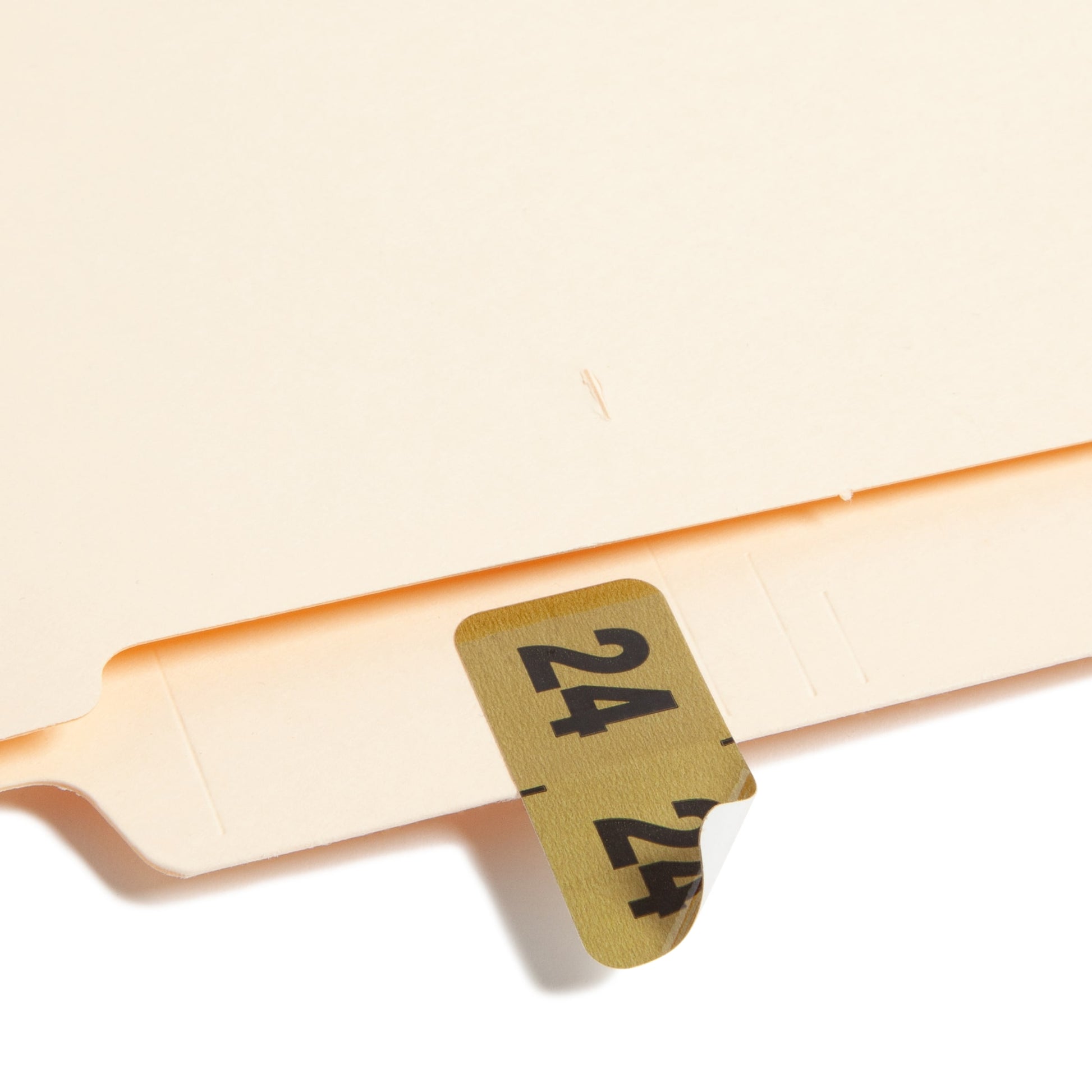 ETYJ Color-Coded Year Labels, Gold Color, 1-1/2" X 3/4" Size, Set of 50, 086486683241