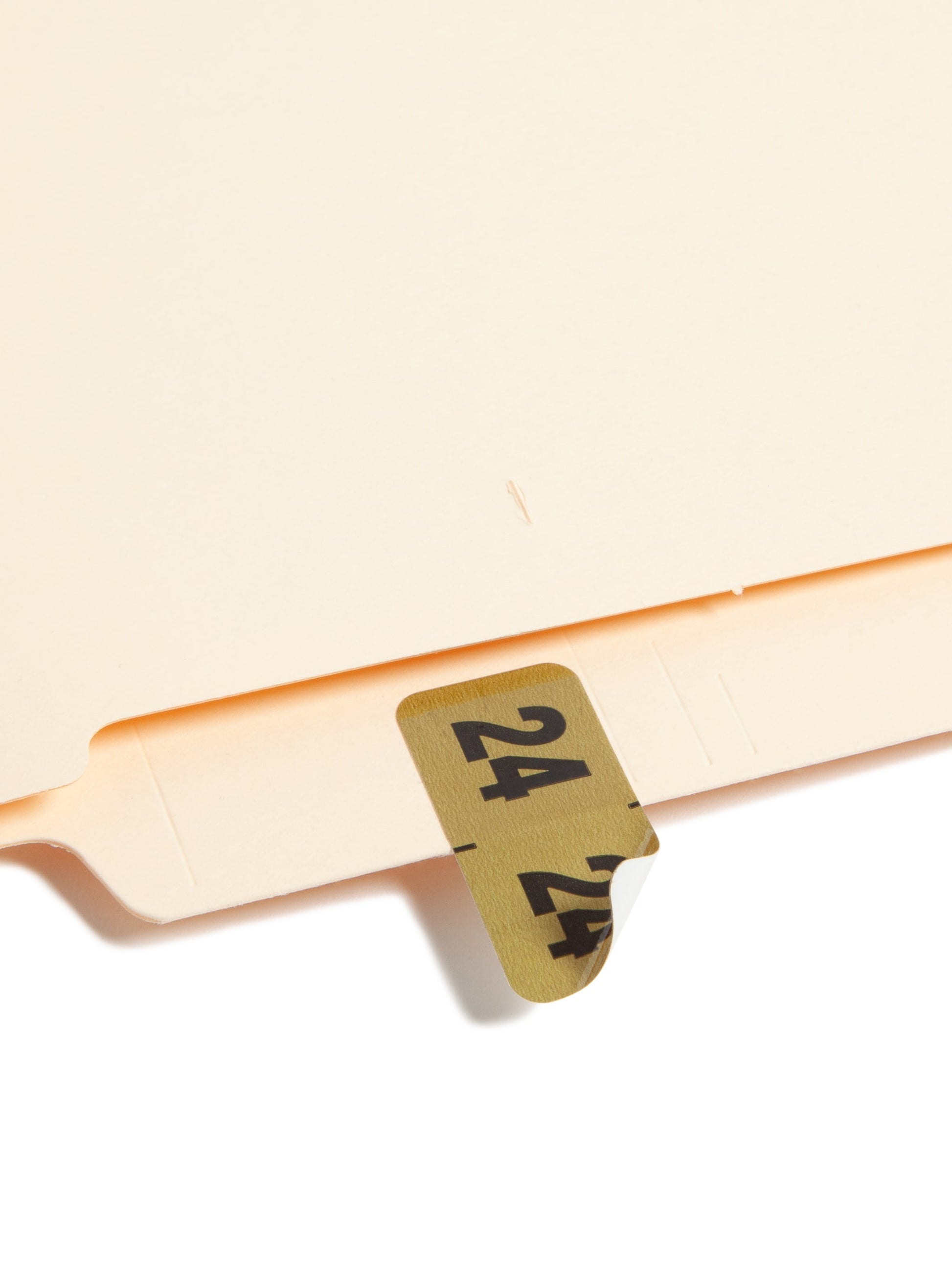 ETYJ Color-Coded Year Labels, Gold Color, 1-1/2" X 3/4" Size, Set of 50, 086486683241
