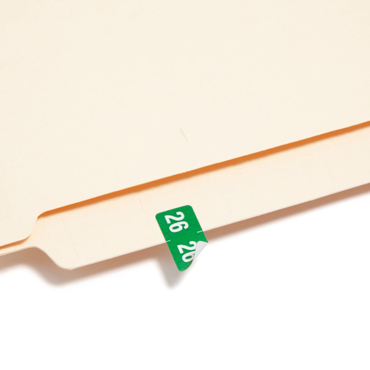 ETS Color-Coded Year Labels - Sheets, Green Color, 1" X 1/2" Size, Set of 250, 086486679268