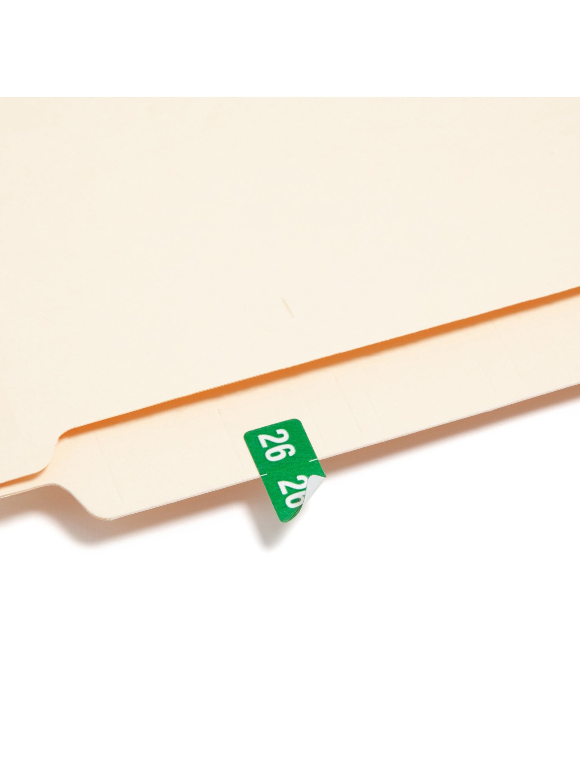 ETS Color-Coded Year Labels - Sheets, Green Color, 1" X 1/2" Size, Set of 250, 086486679268