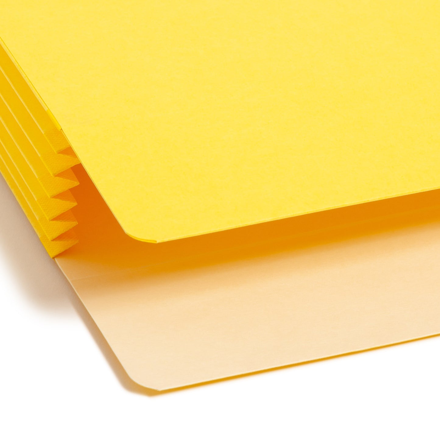 File Pockets, 5-1/4 inch Expansion, Straight-Cut Tab, Assorted Colors Color, Letter Size, Set of 5, 086486738361