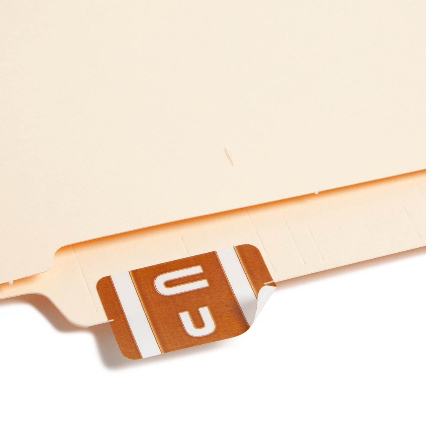 AlphaZ® ACCS Color Coded Alphabetic Labels - Sheets, Dark Brown Color, 1" X 1-5/8" Size, Set of 100, 086486671910