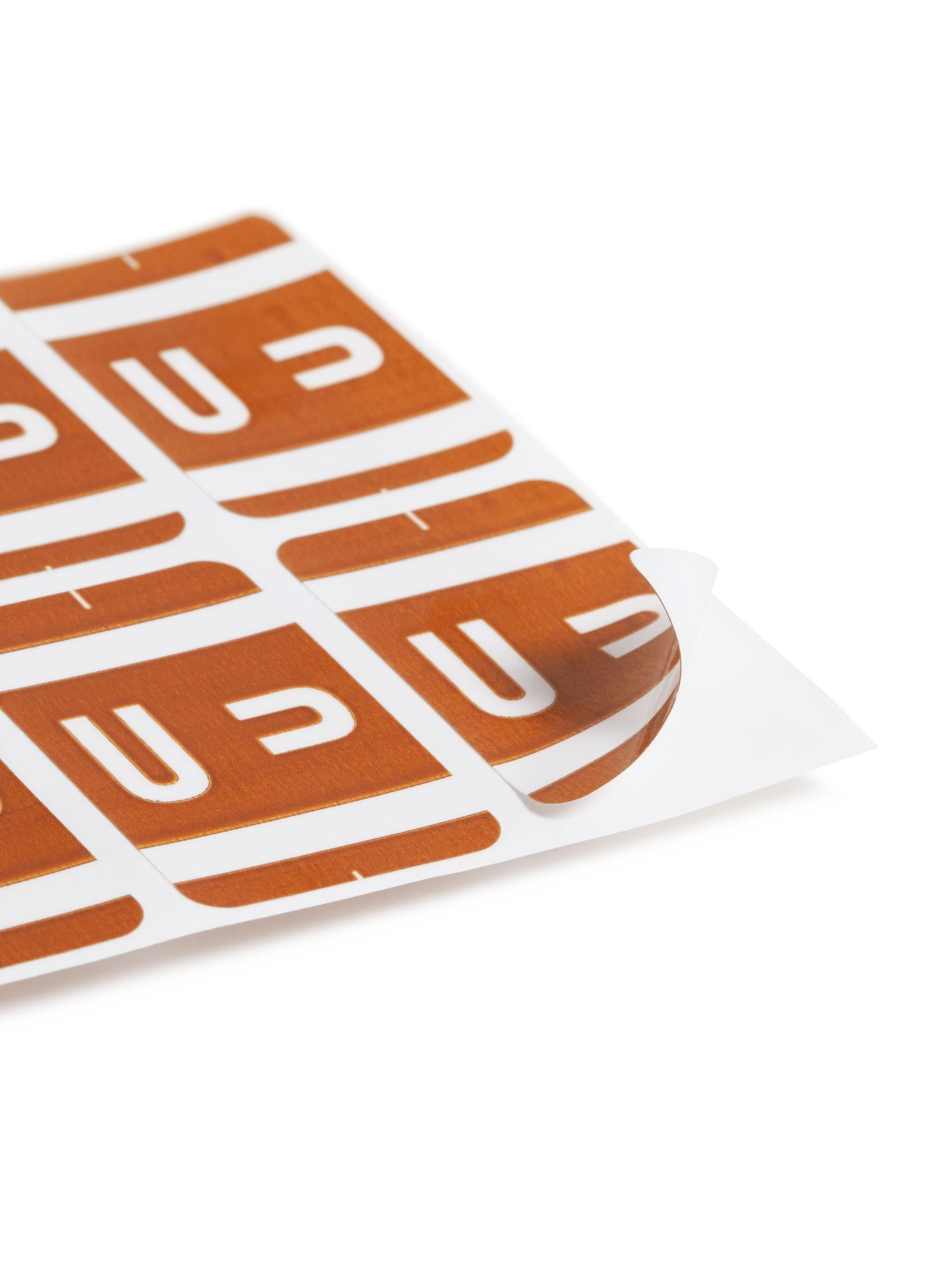 AlphaZ® ACCS Color Coded Alphabetic Labels - Sheets, Dark Brown Color, 1" X 1-5/8" Size, Set of 100, 086486671910